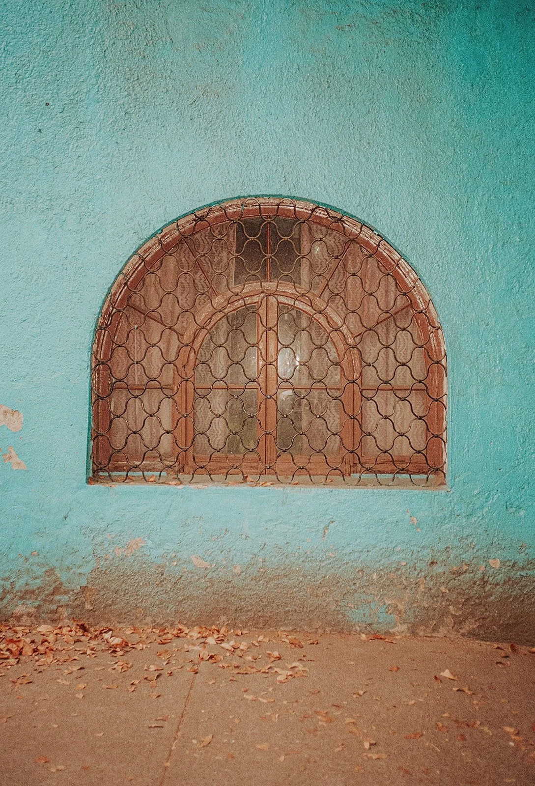 Mexico City on Film_ December 2025-97.jpg