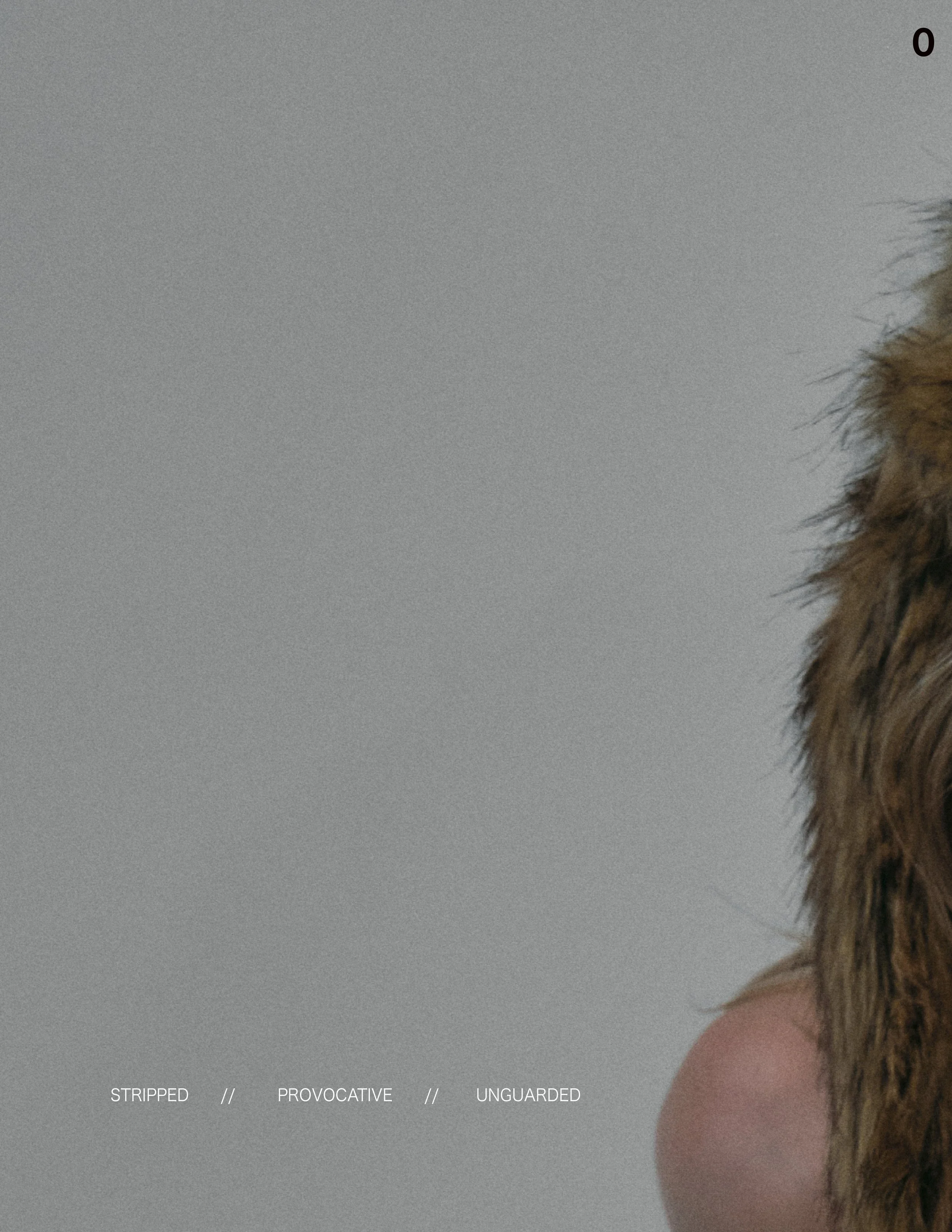 Stripped Magazine 34.jpg