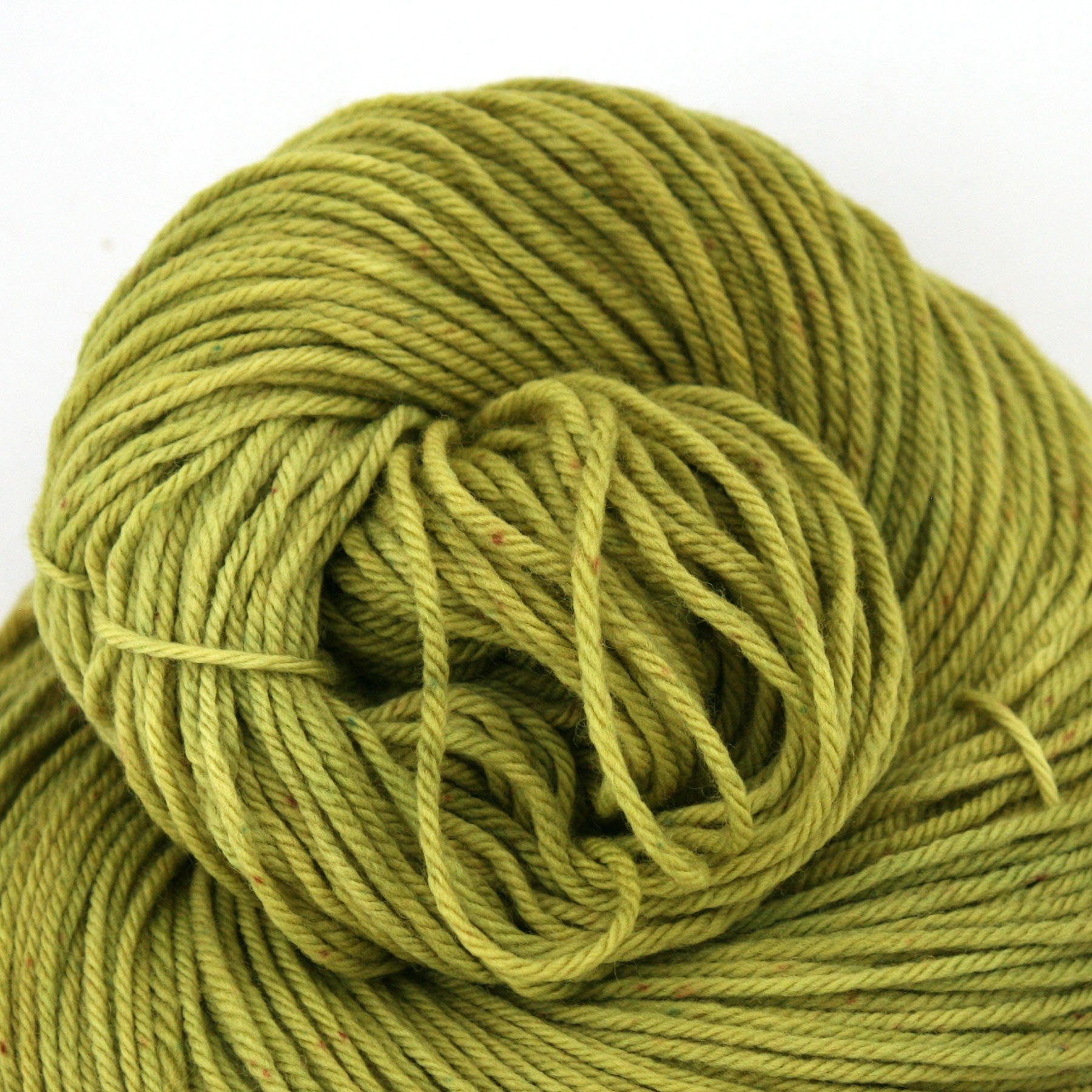windham_parakeet_feathers_1.jpg