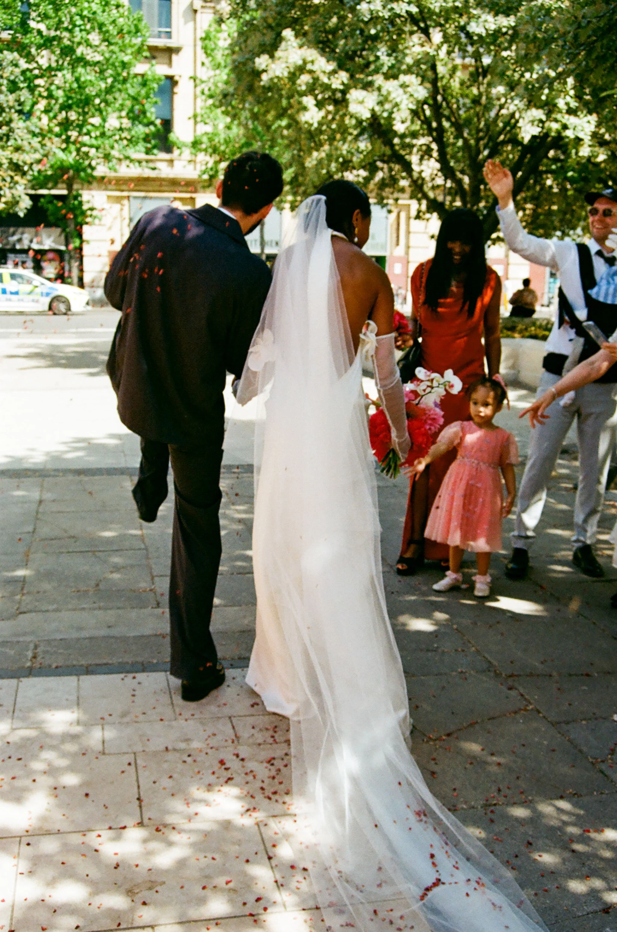 43890013.jpg