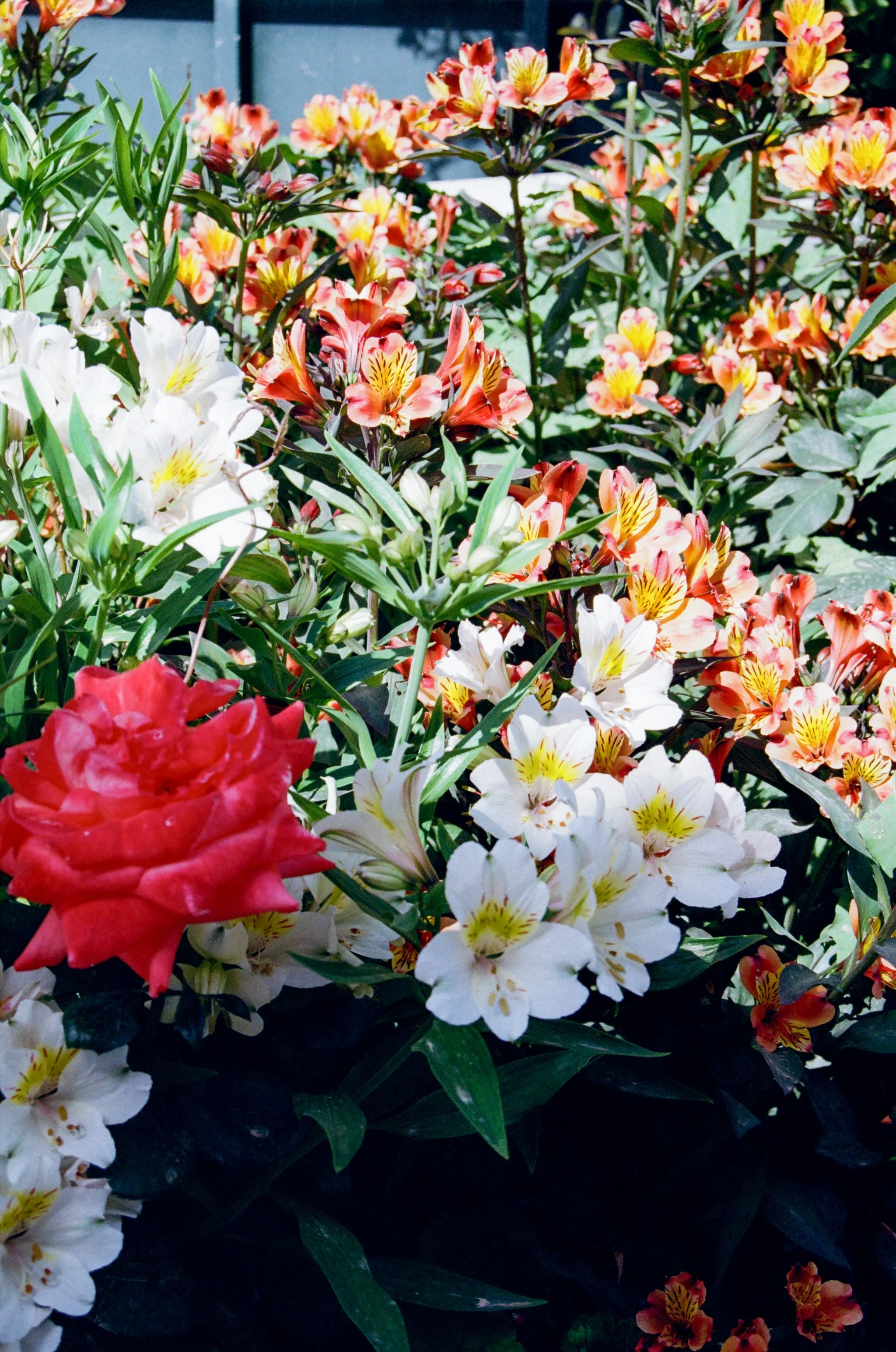 003289050023-Edit.jpg