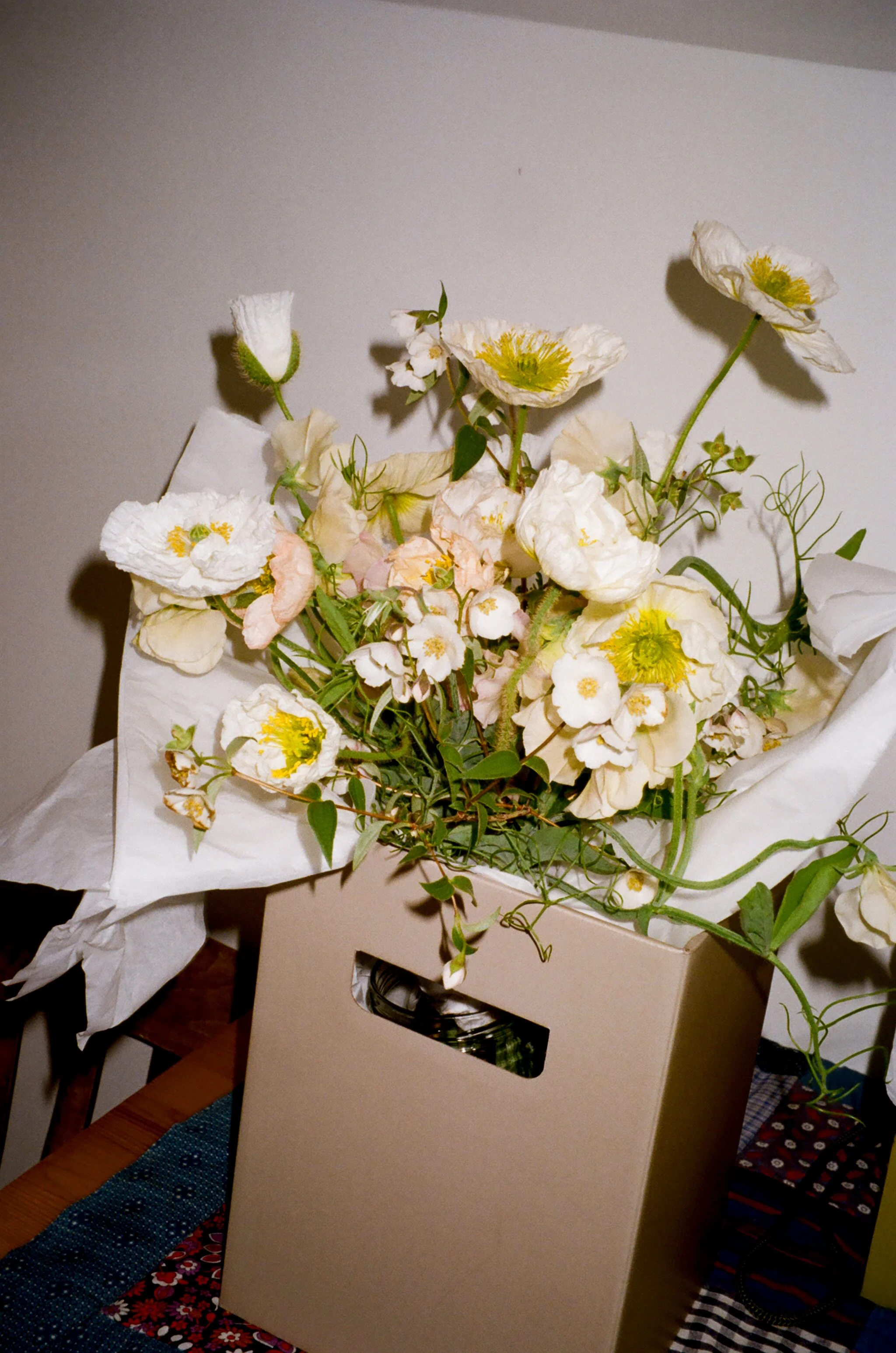 70280008-2-Edit.jpg