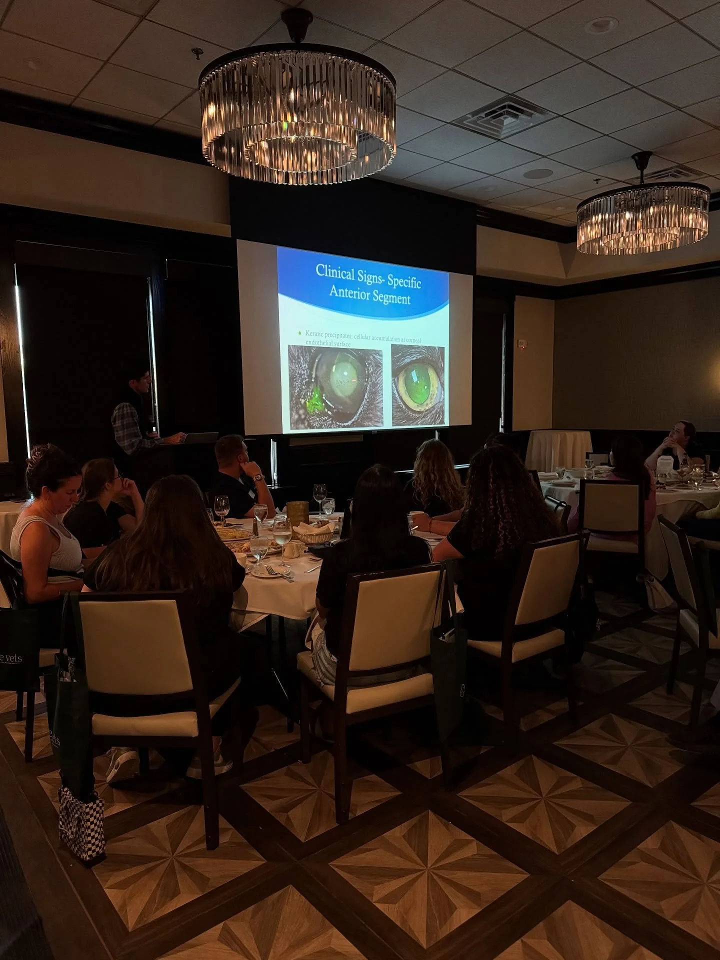 What a night! We hosted nearly 100 veterinary professionals last night at Maggiano&rsquo;s in Nashville for our second RACE approved continuing education event of the year. Dr. Minaldi provided our guests with a fantastic presentation on Uveitis in d