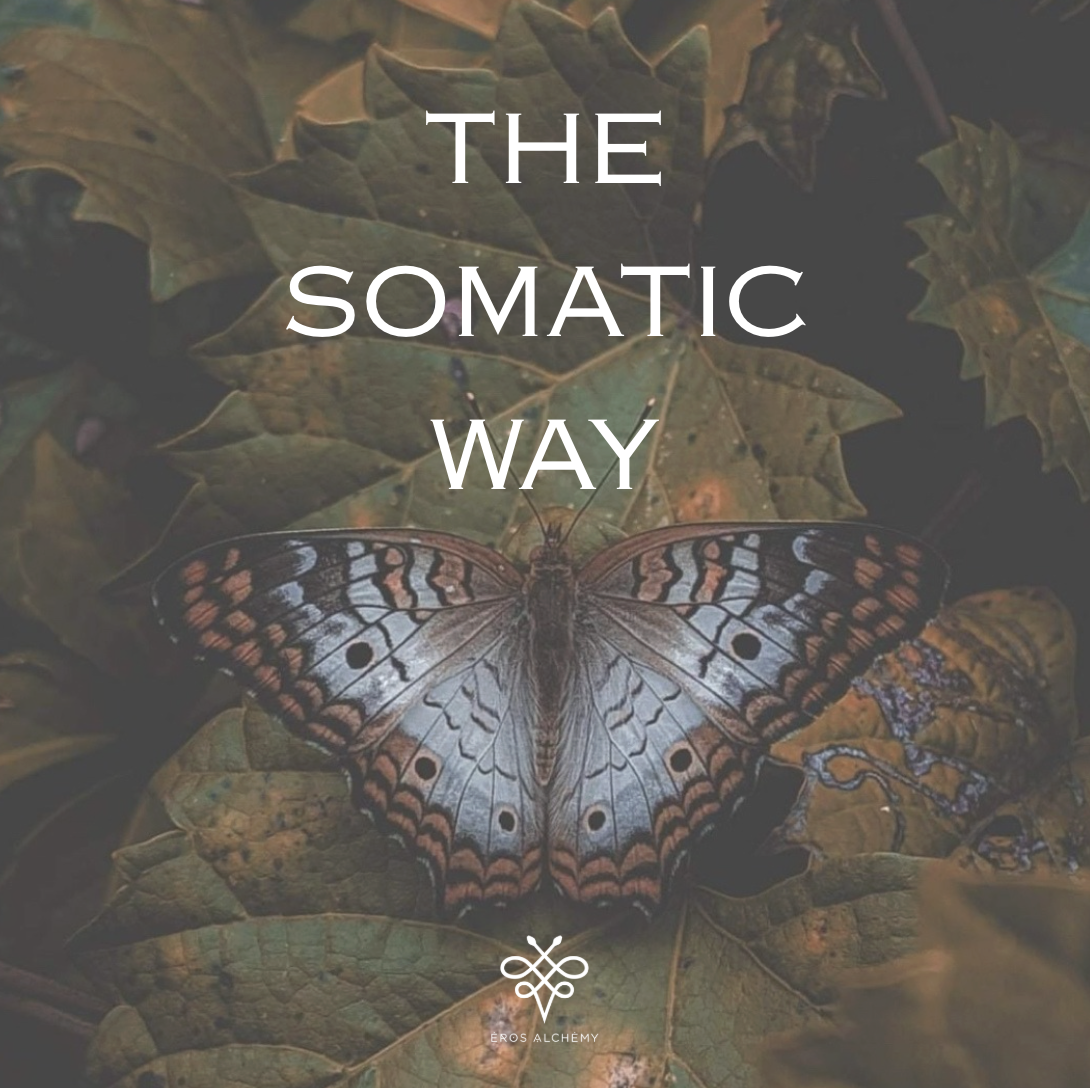 THE SOMATIC WAY