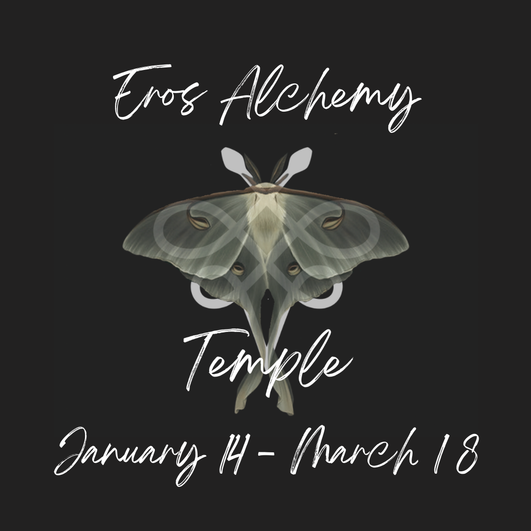 Screenshot 2025-12-17 at 7.36.48 PM.png