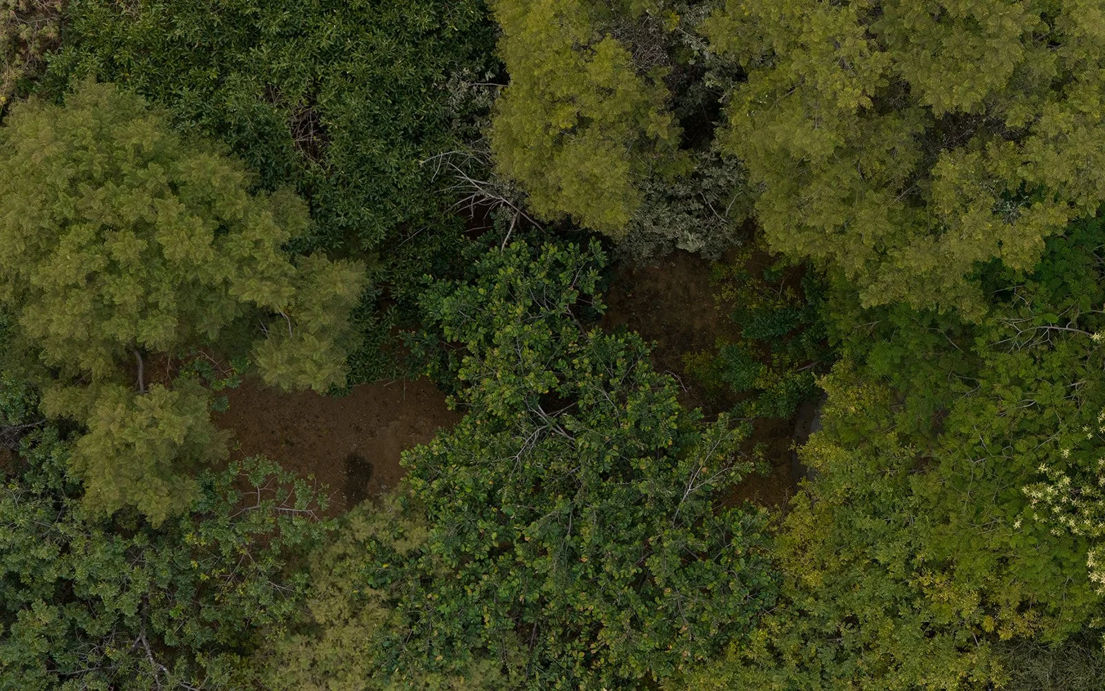 DJI_20231226150857_0203_D.jpg