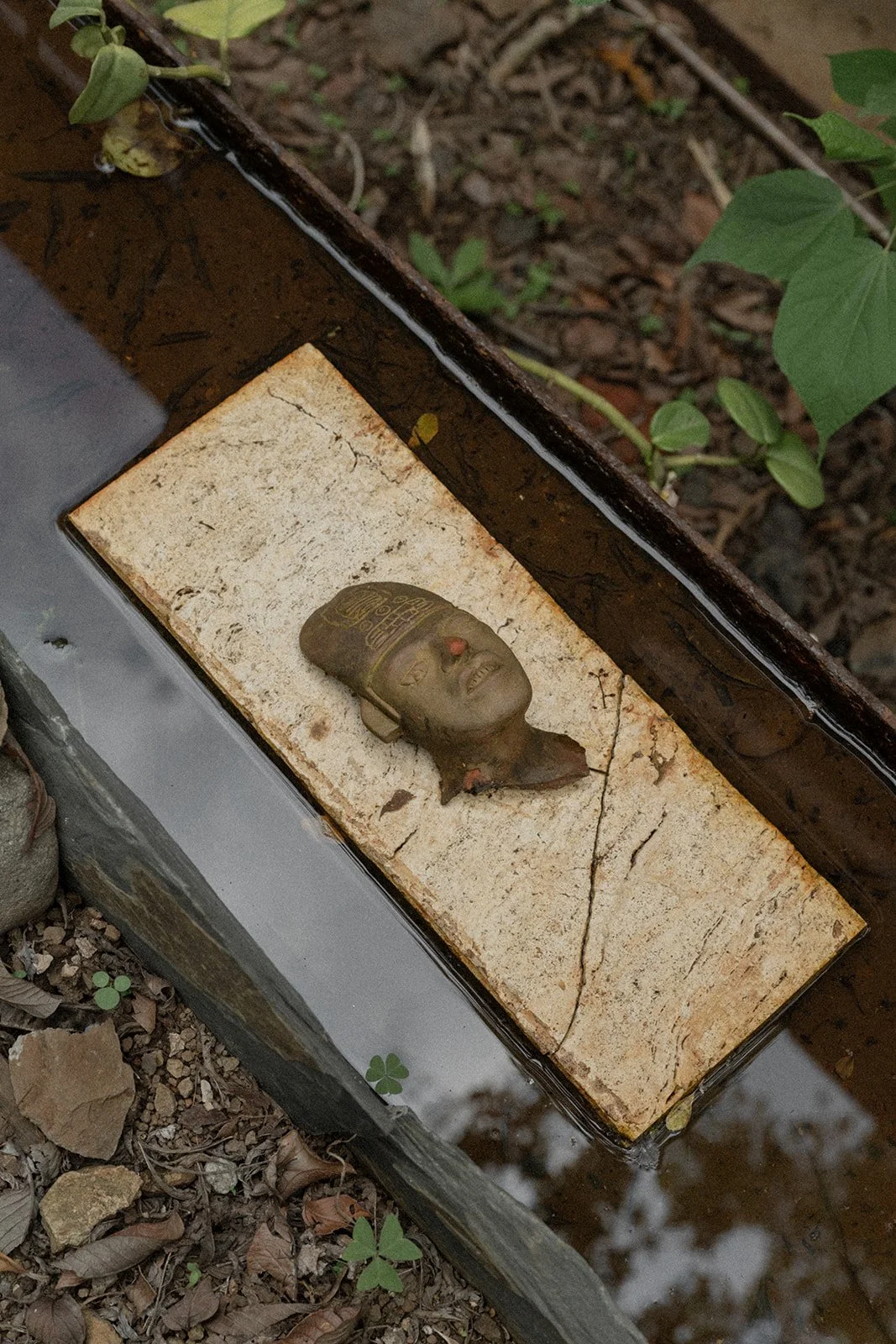 DSC_0805.jpg
