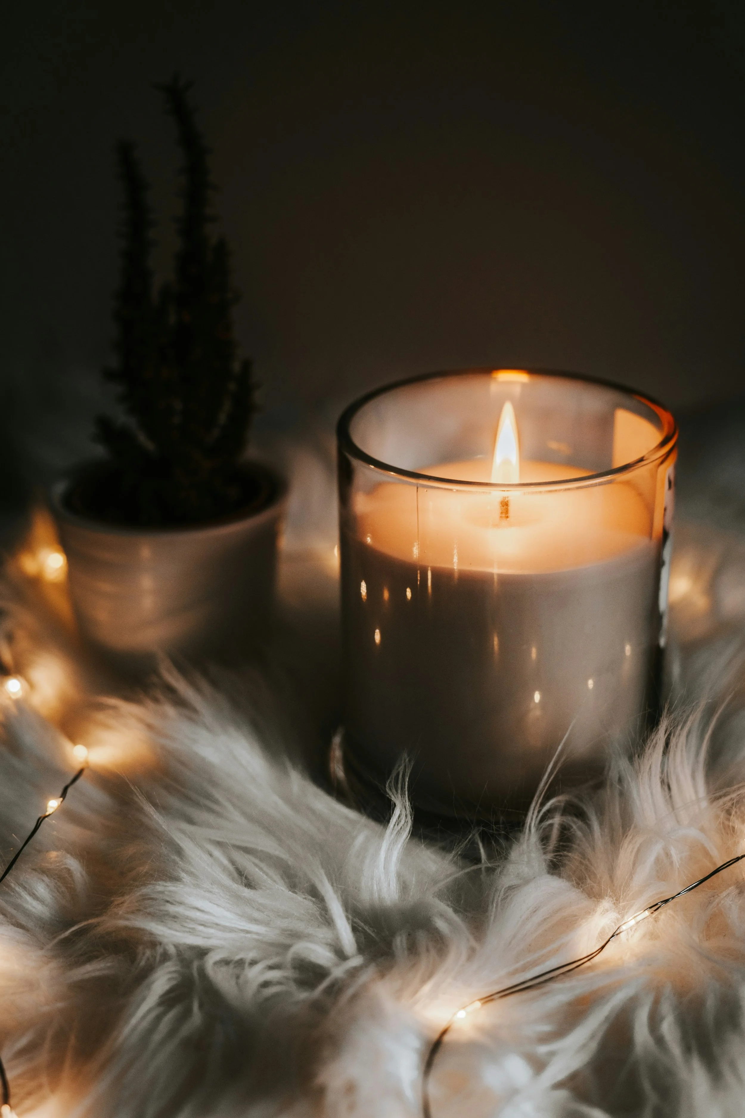A lit candle in a glass holder beside a potted plant with small foliage, all surrounded by a string of fairy lights on a white fluffy surface, creating a cozy and warm ambiance.