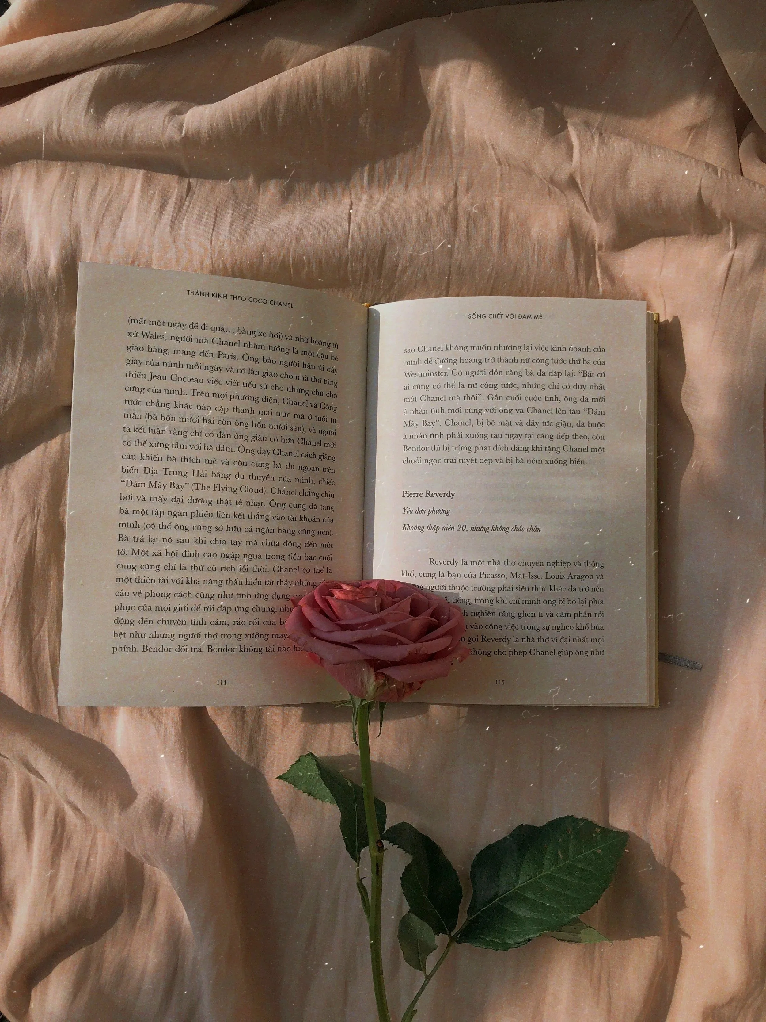 A pink rose placed on an open book with Vietnamese text, on a beige fabric background.