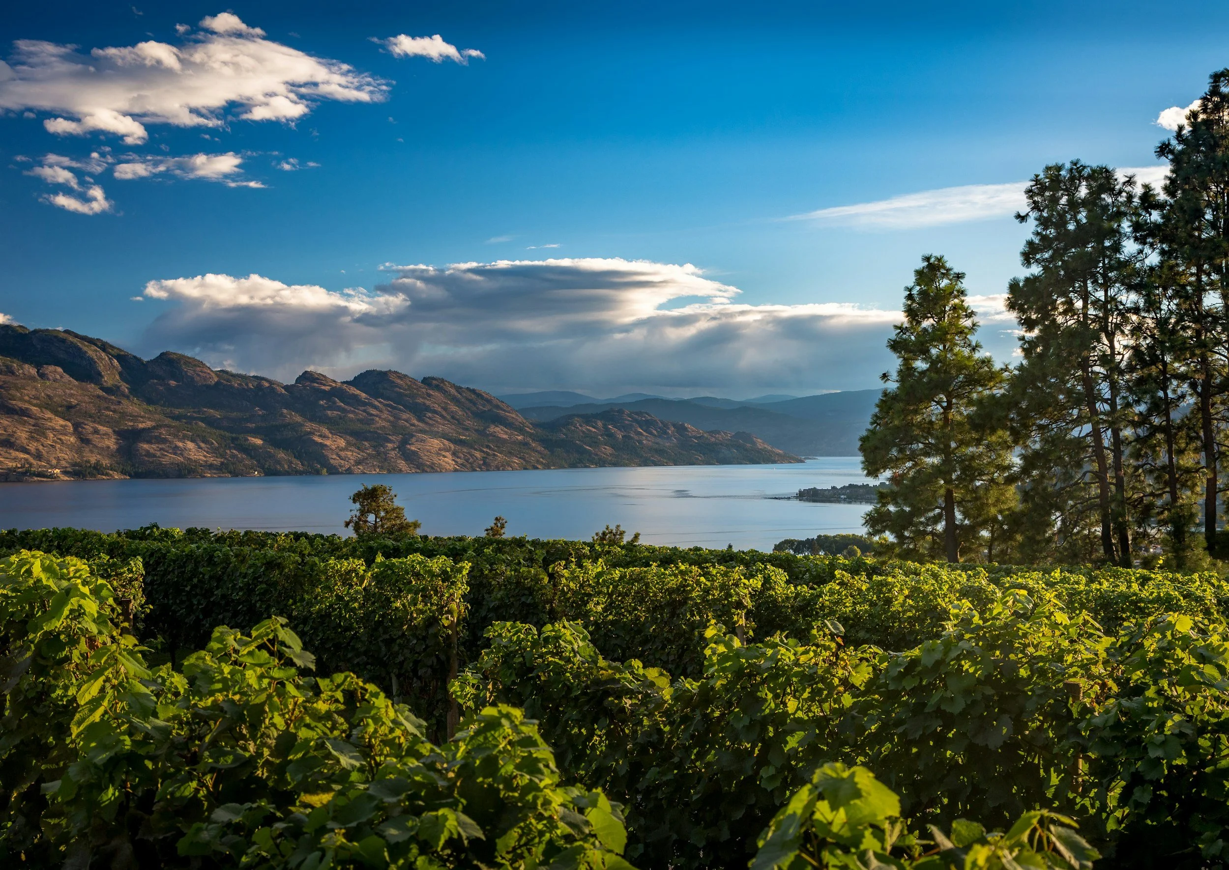 Okanagan lake and hills near Kelowna, where tourism businesses use virtual assistant BC services