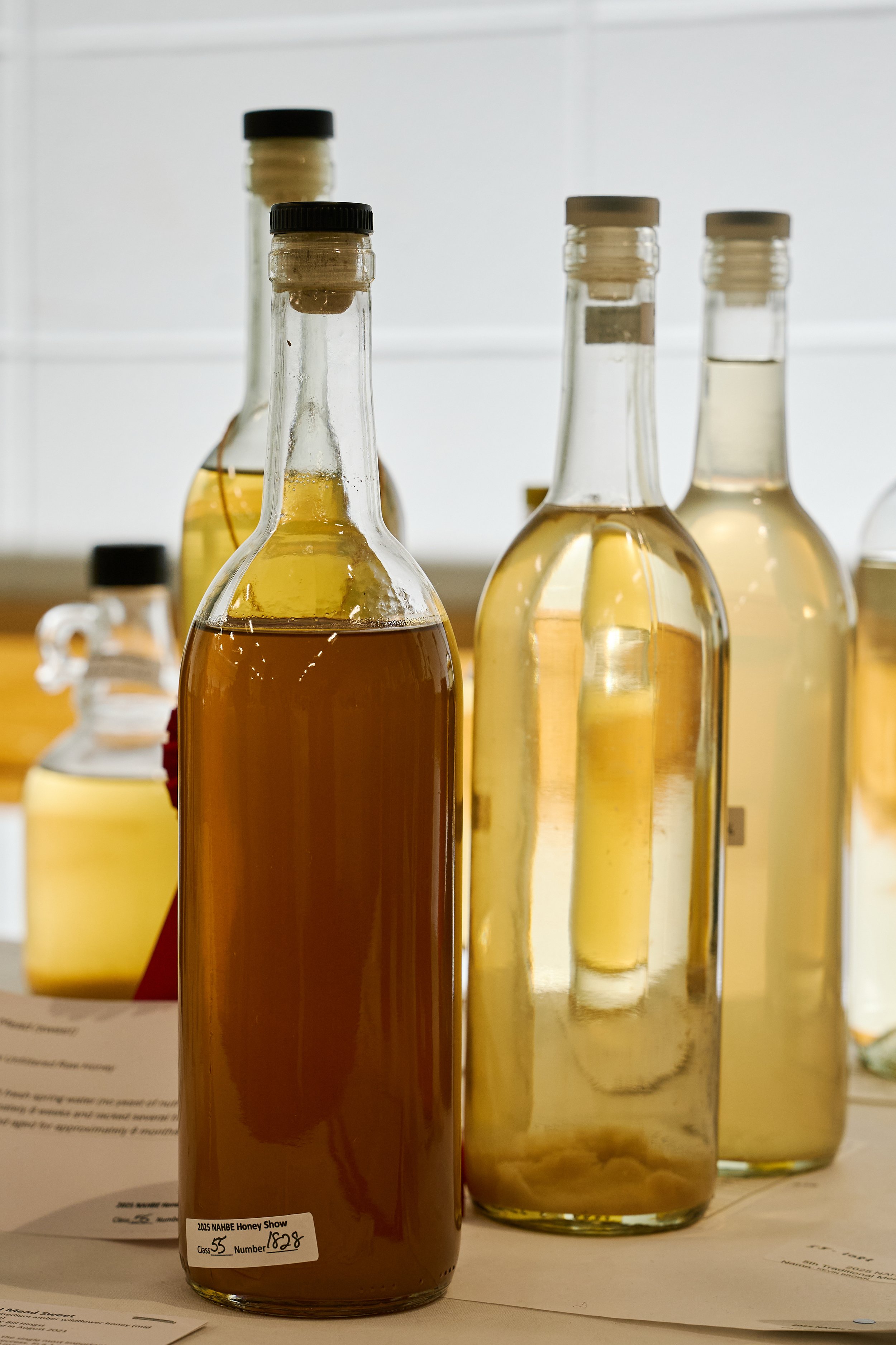 NAHBE2025_487.jpg (Copy)