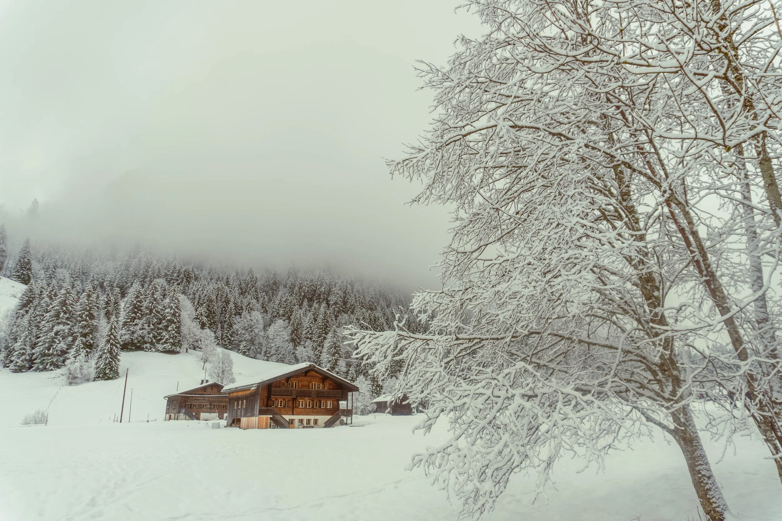 Snow Shoe-99.jpg