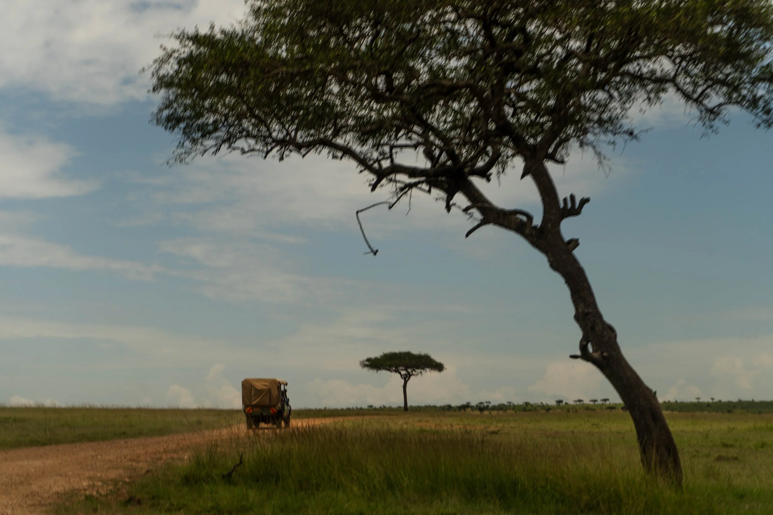 Kenya 3rd Day-261.jpg