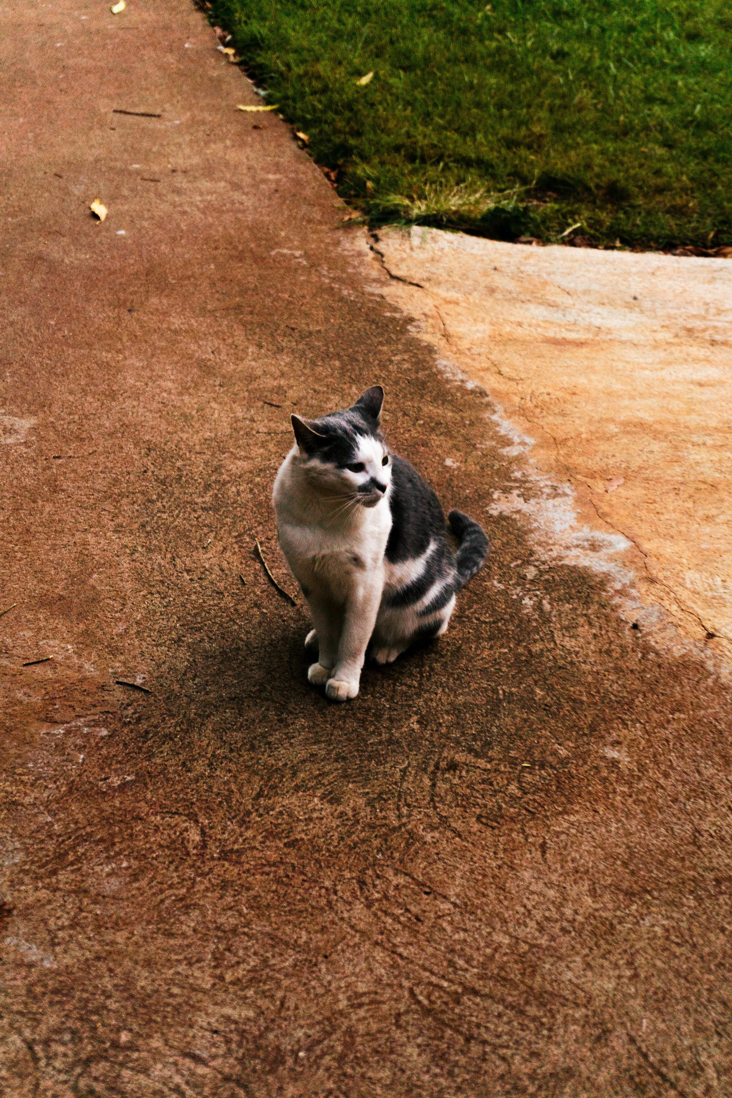 EFT Brackenhurst-9.jpg