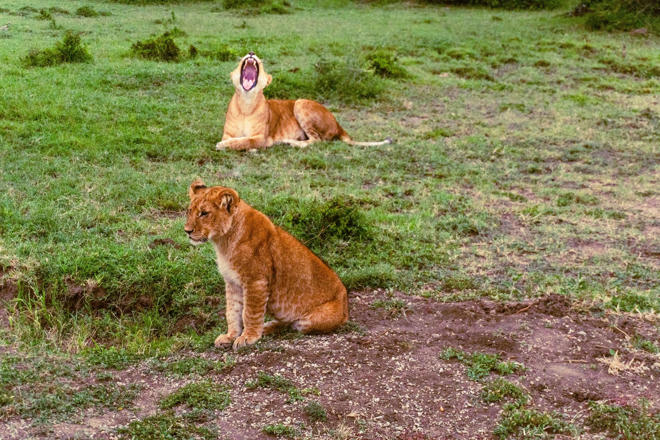 Kenya 3rd Day-687.jpg