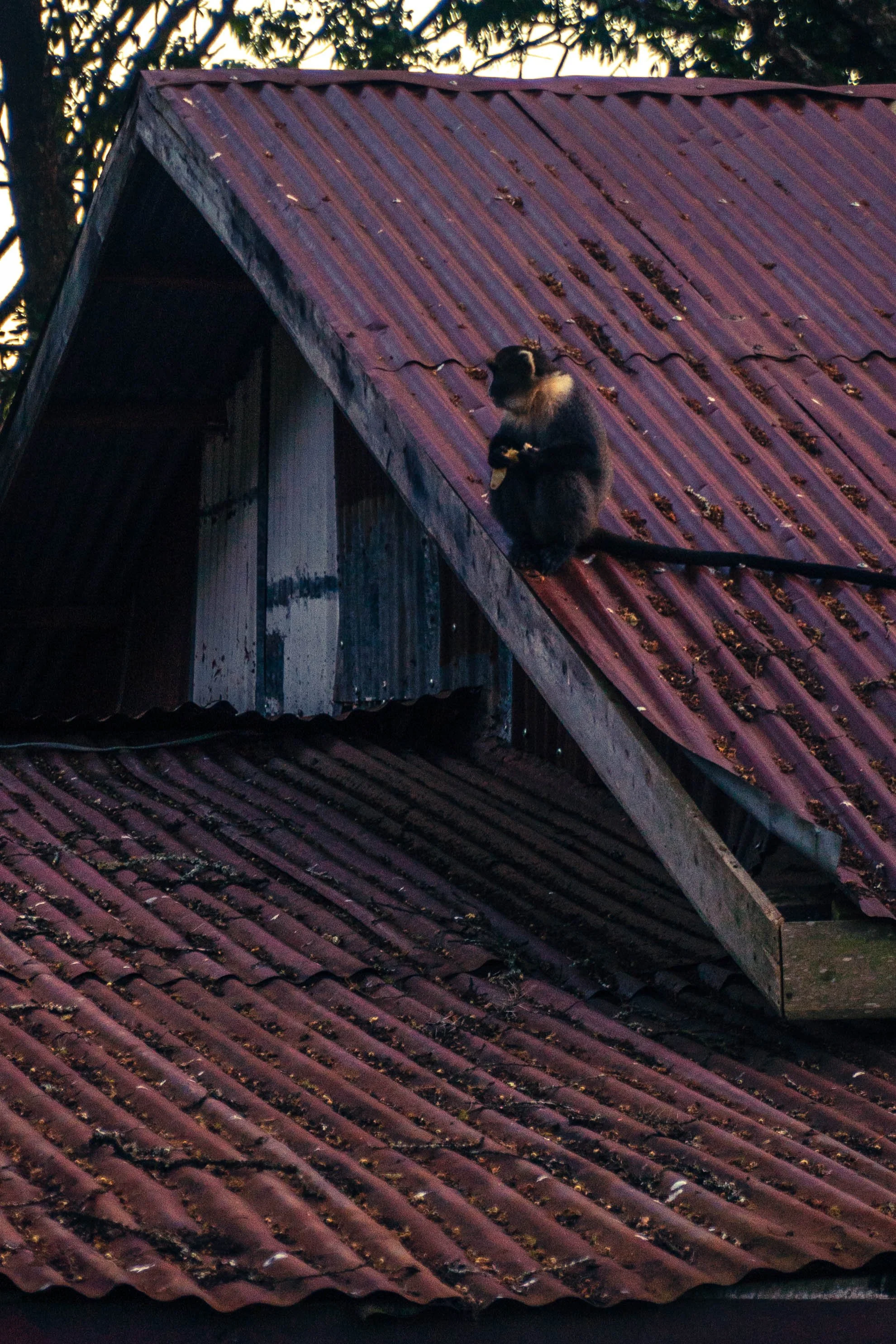 EFT Brackenhurst-3.jpg