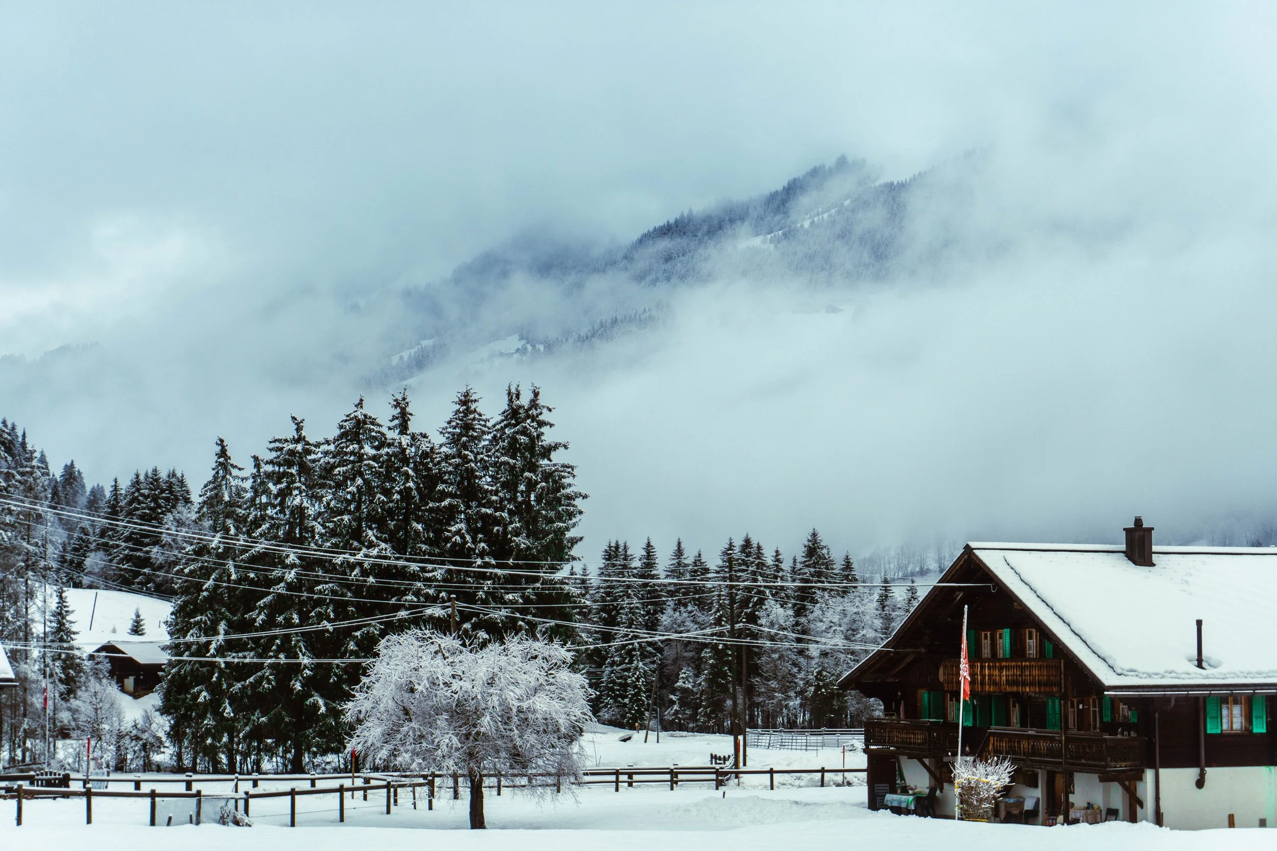 Snow Shoe-15.jpg