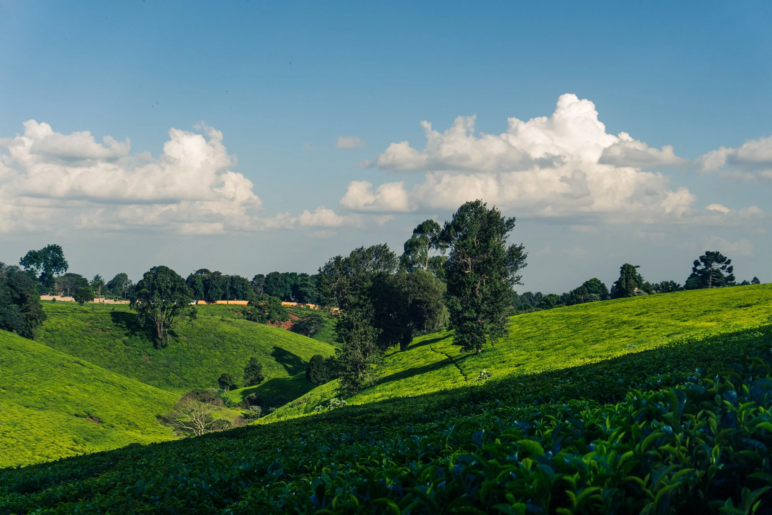 EFT Brackenhurst-23.jpg