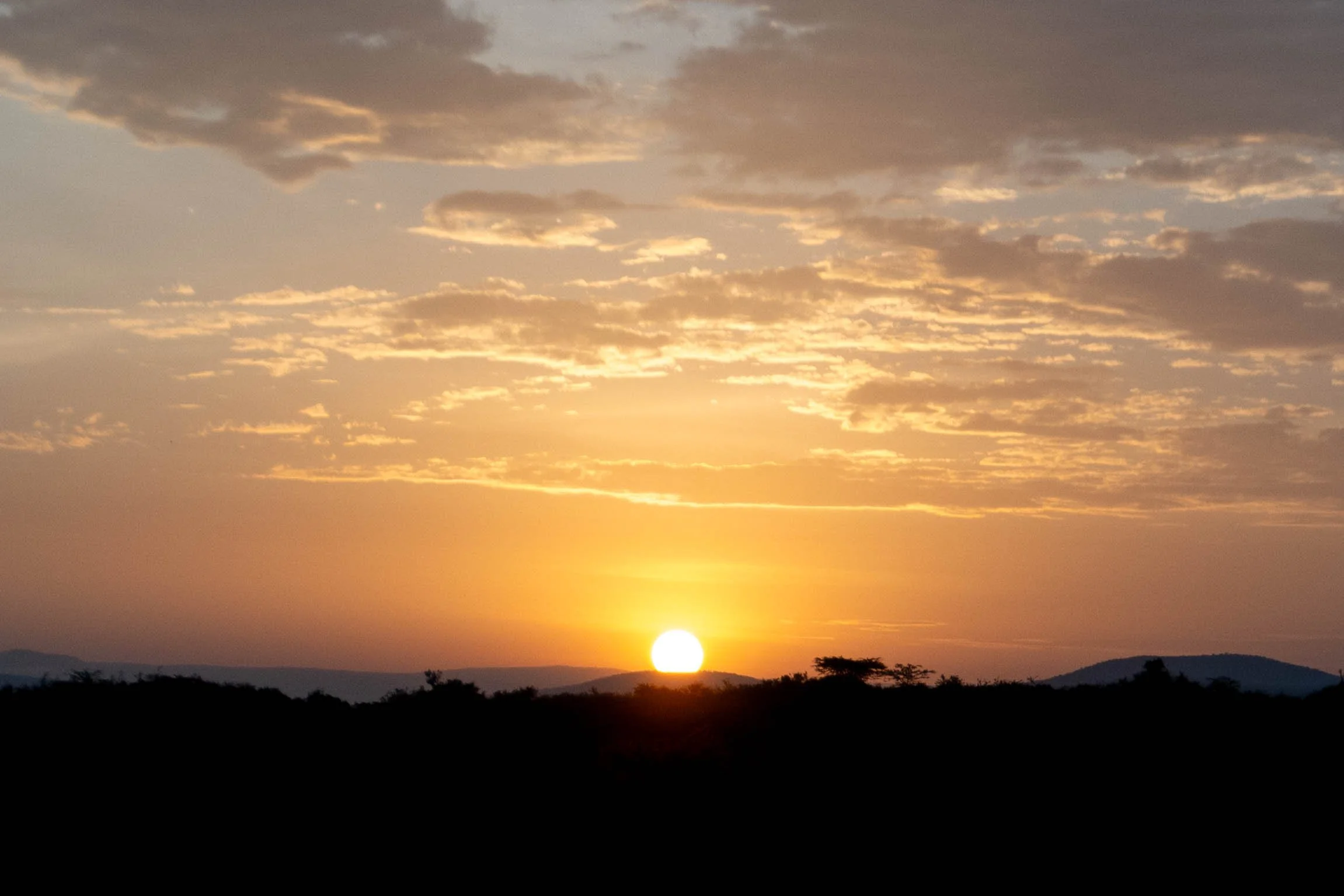 Export 4 Kenya-5.jpg