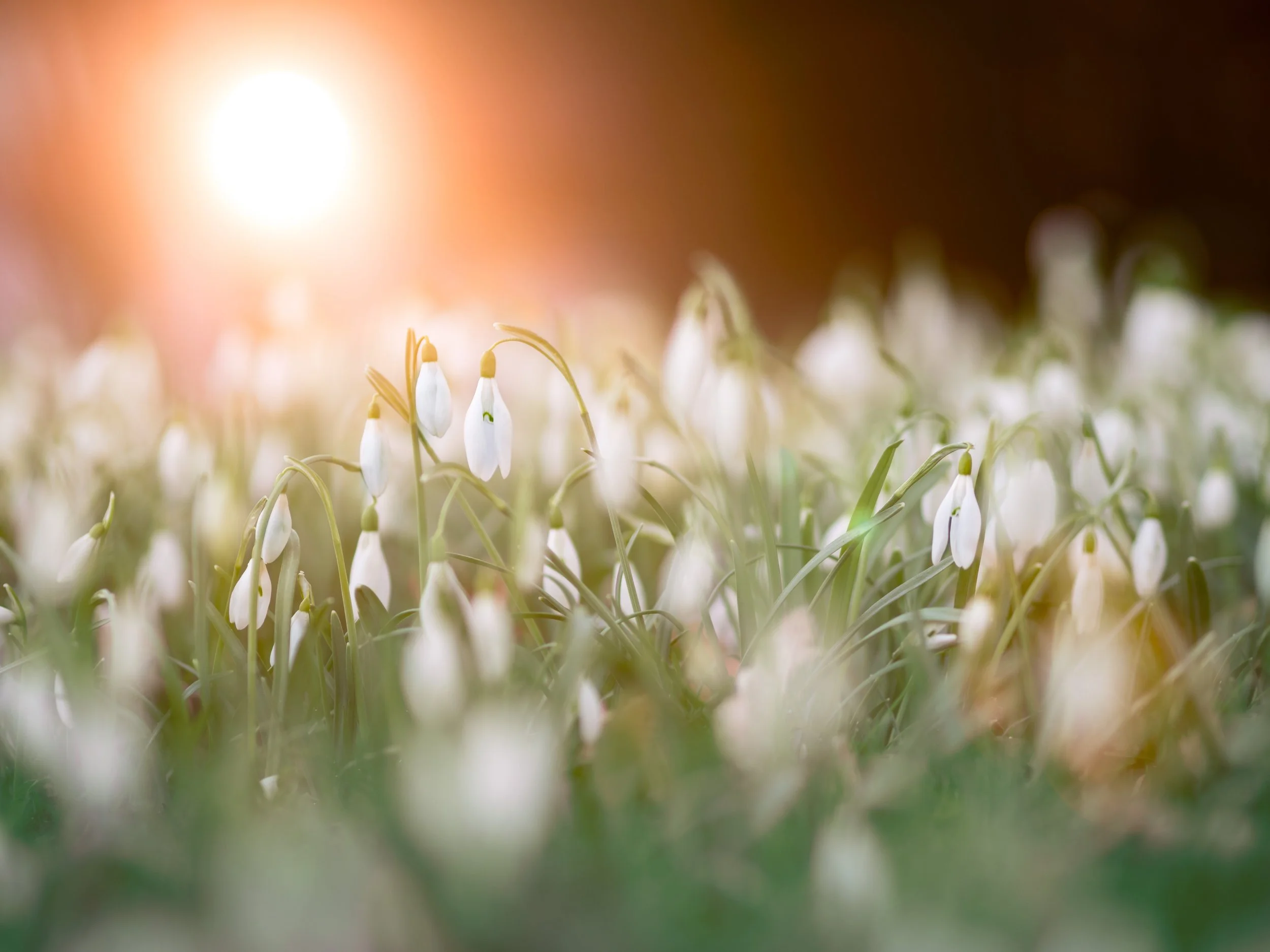 'Winterrust' dagretraite - verbinding, creativiteit en rust- VOl