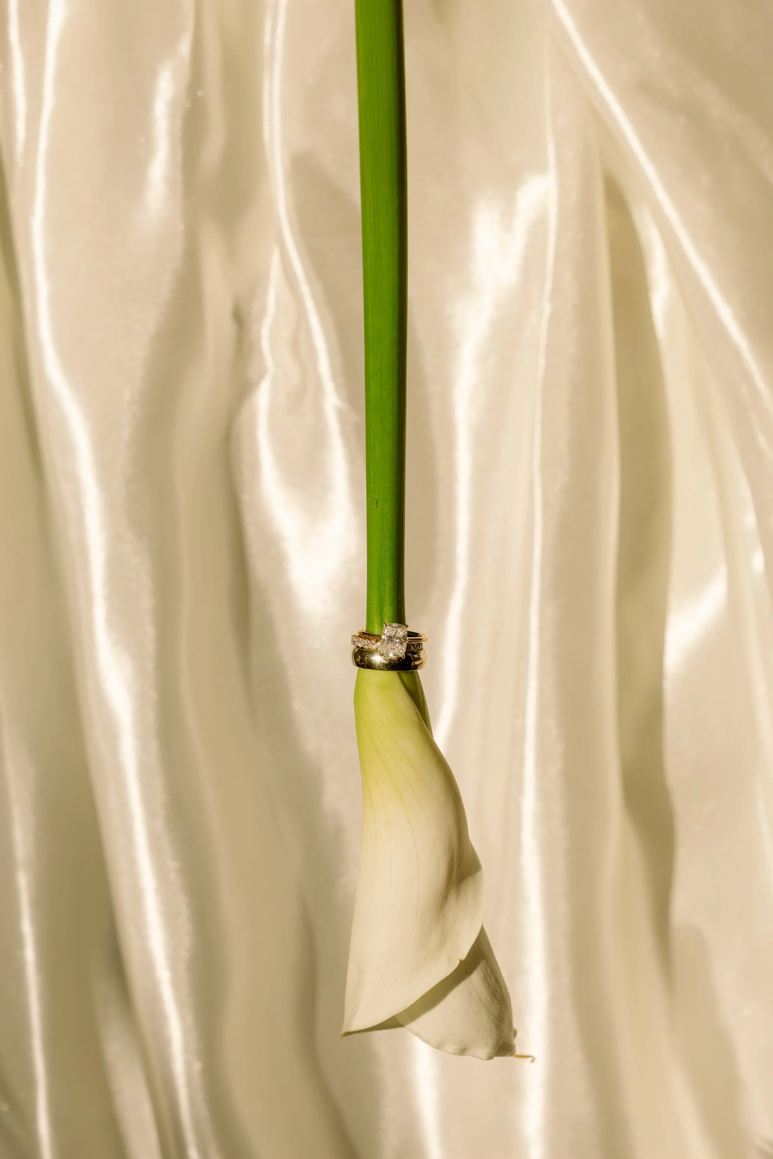 rcbailey_curated-252.jpg