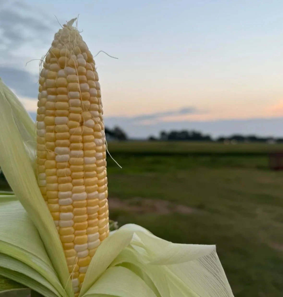 Celebrate America’s Finest Foods!