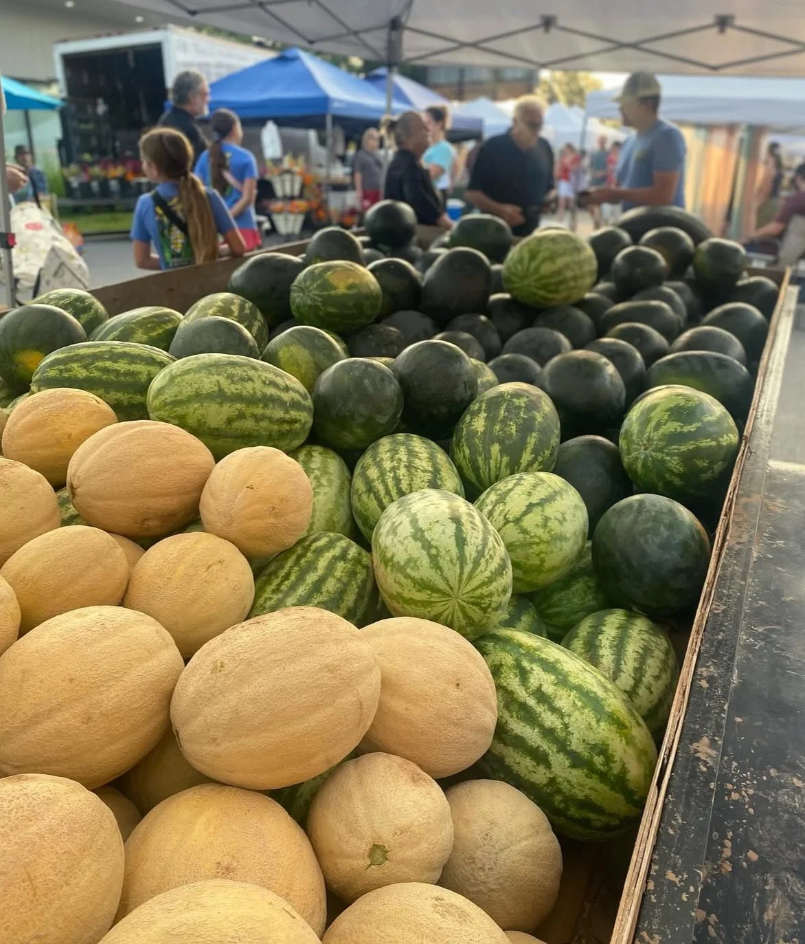 Summer Just Got Sweeter! Melons are Ready!