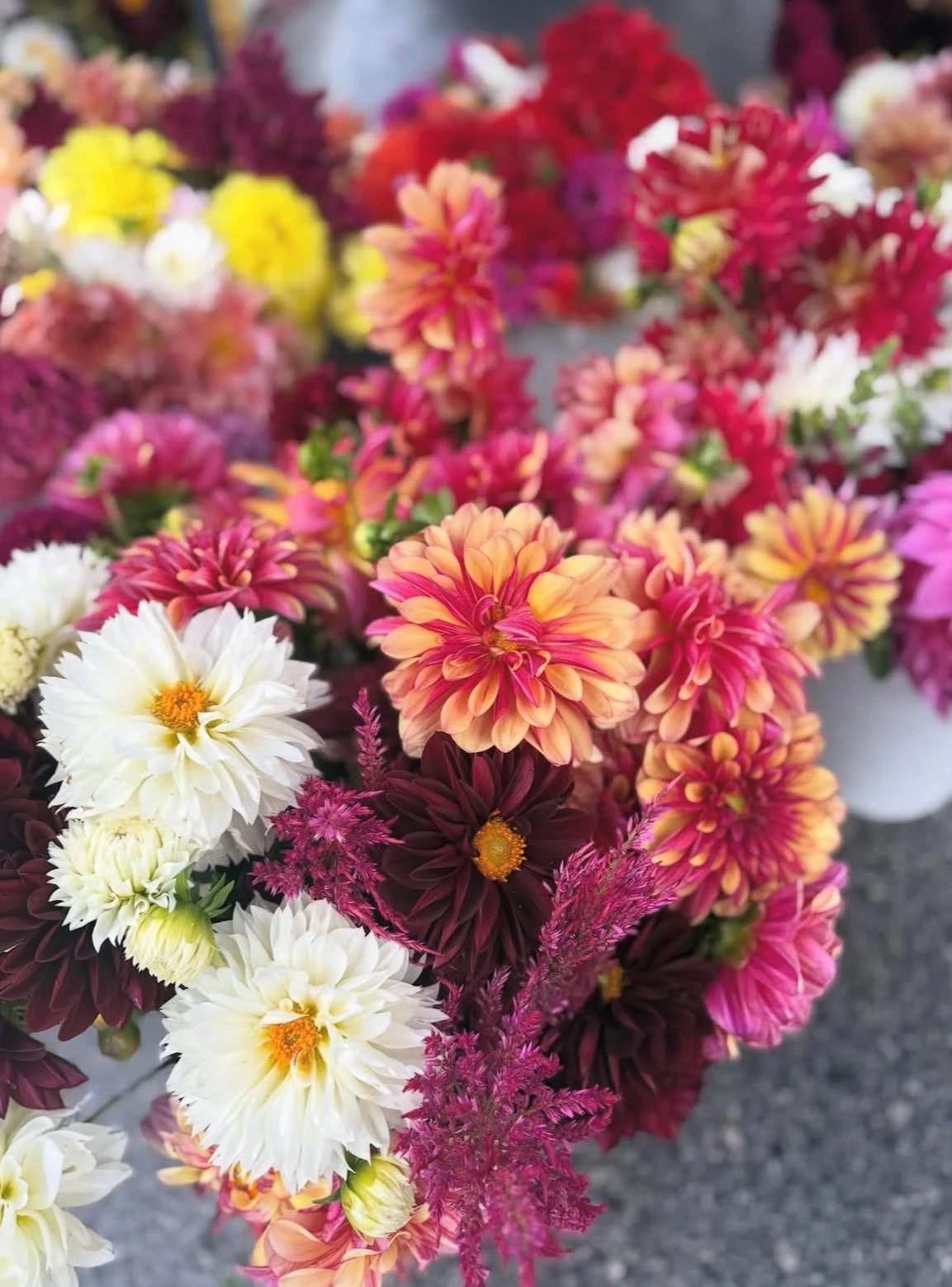 Peak Fall Flavor &amp; Perfect Weather!