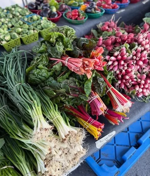 Fresh Finds for your Fall Feast!