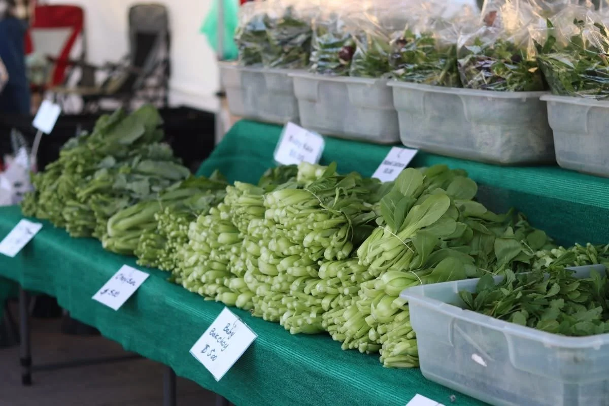 Veggie Season is Budding 🌱