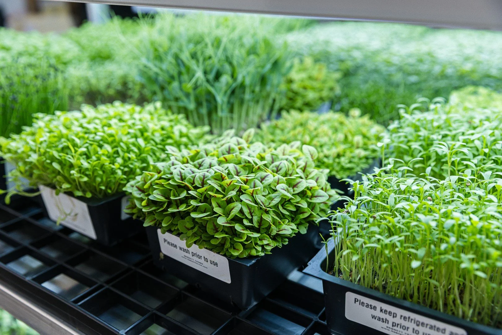 250515-Basnett-Farms-036.jpg