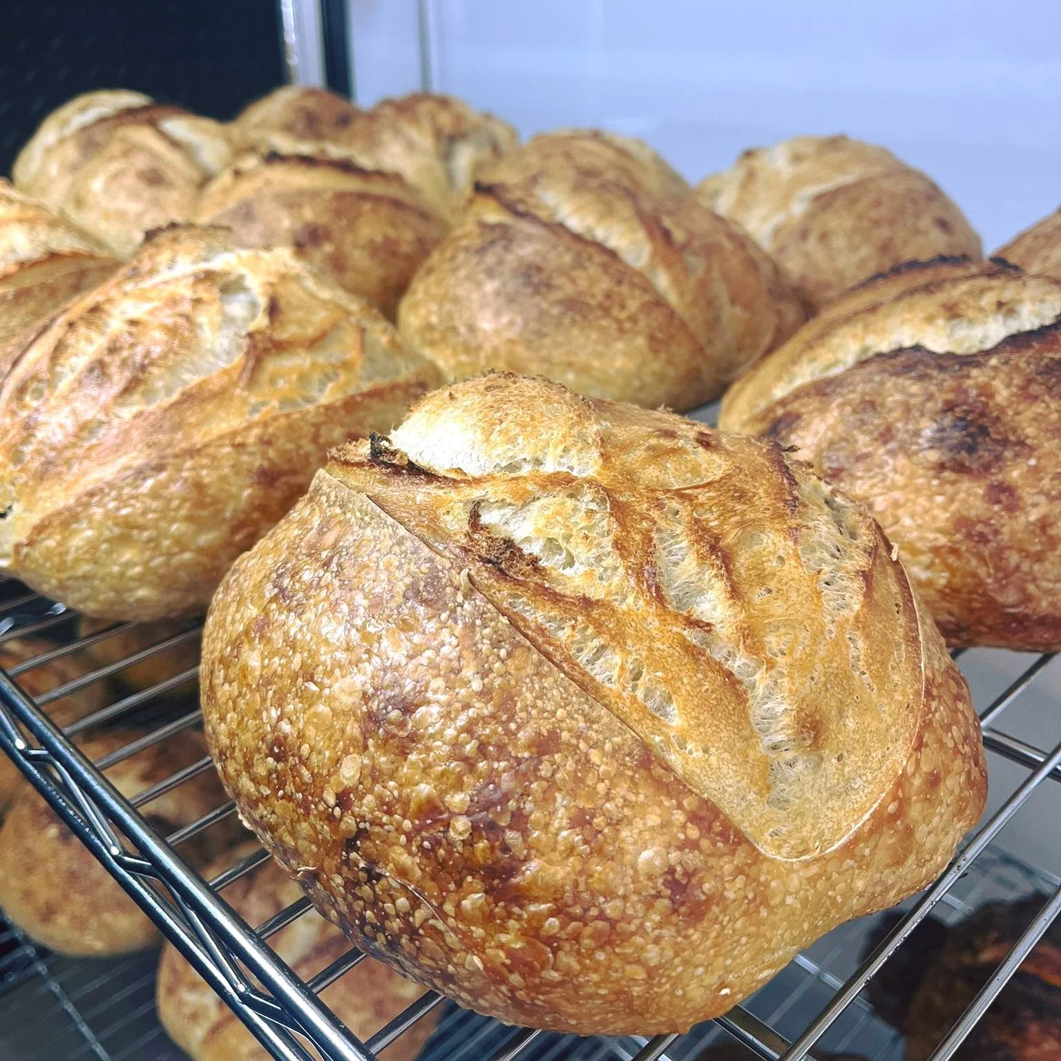 bellabread.jpg