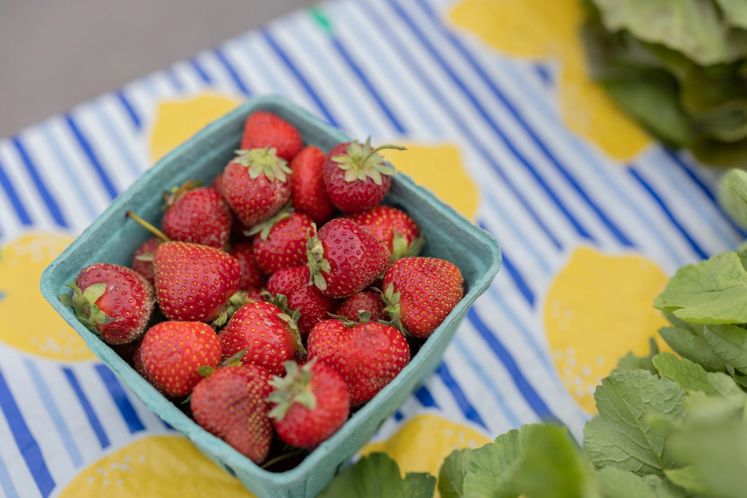 Spring’s First Fruit Hits TFM 