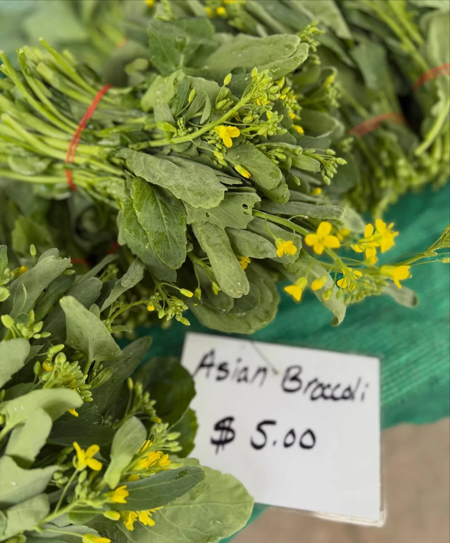 Local Treasures at your Leisure