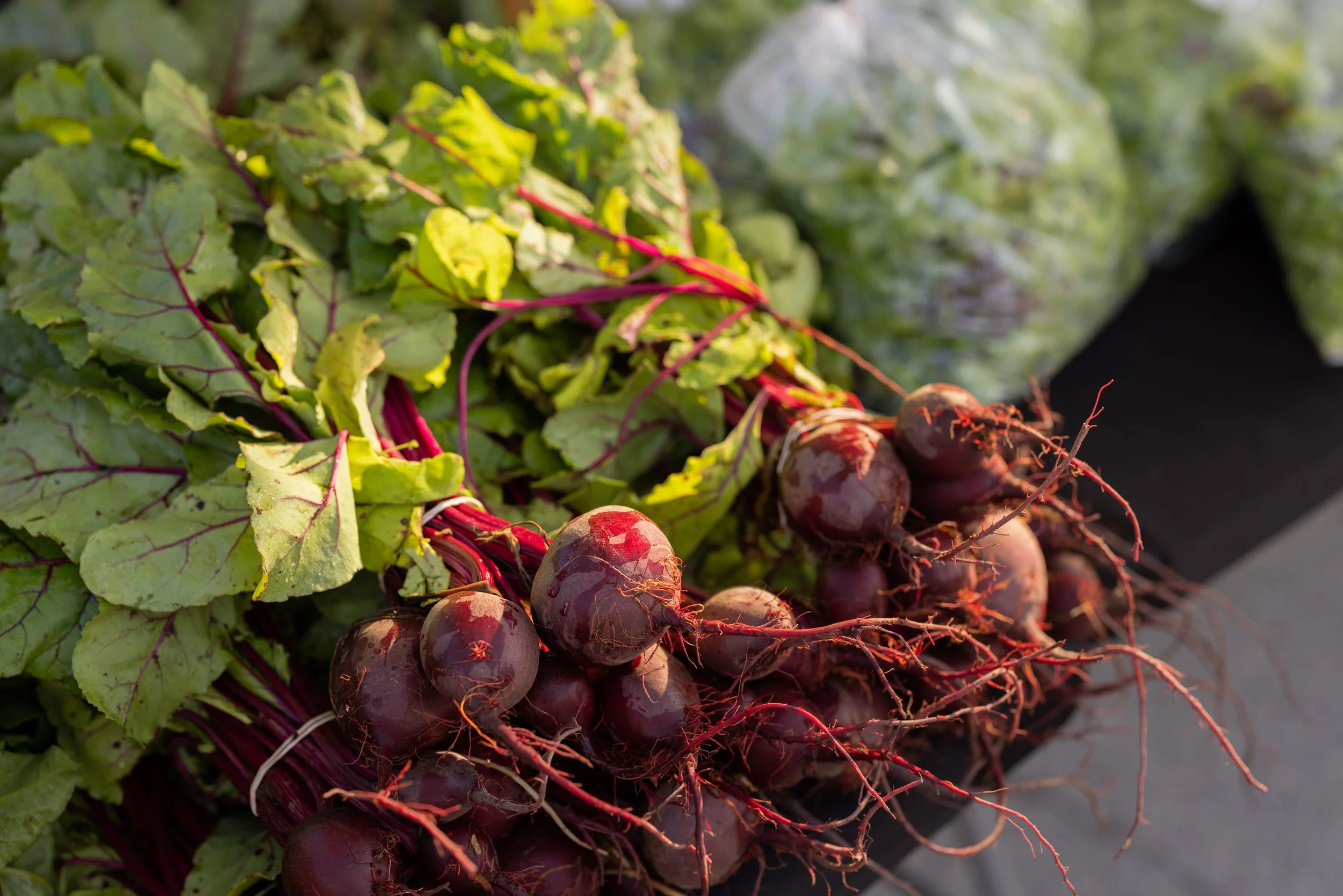 Downtown Tulsa Farmer's Market