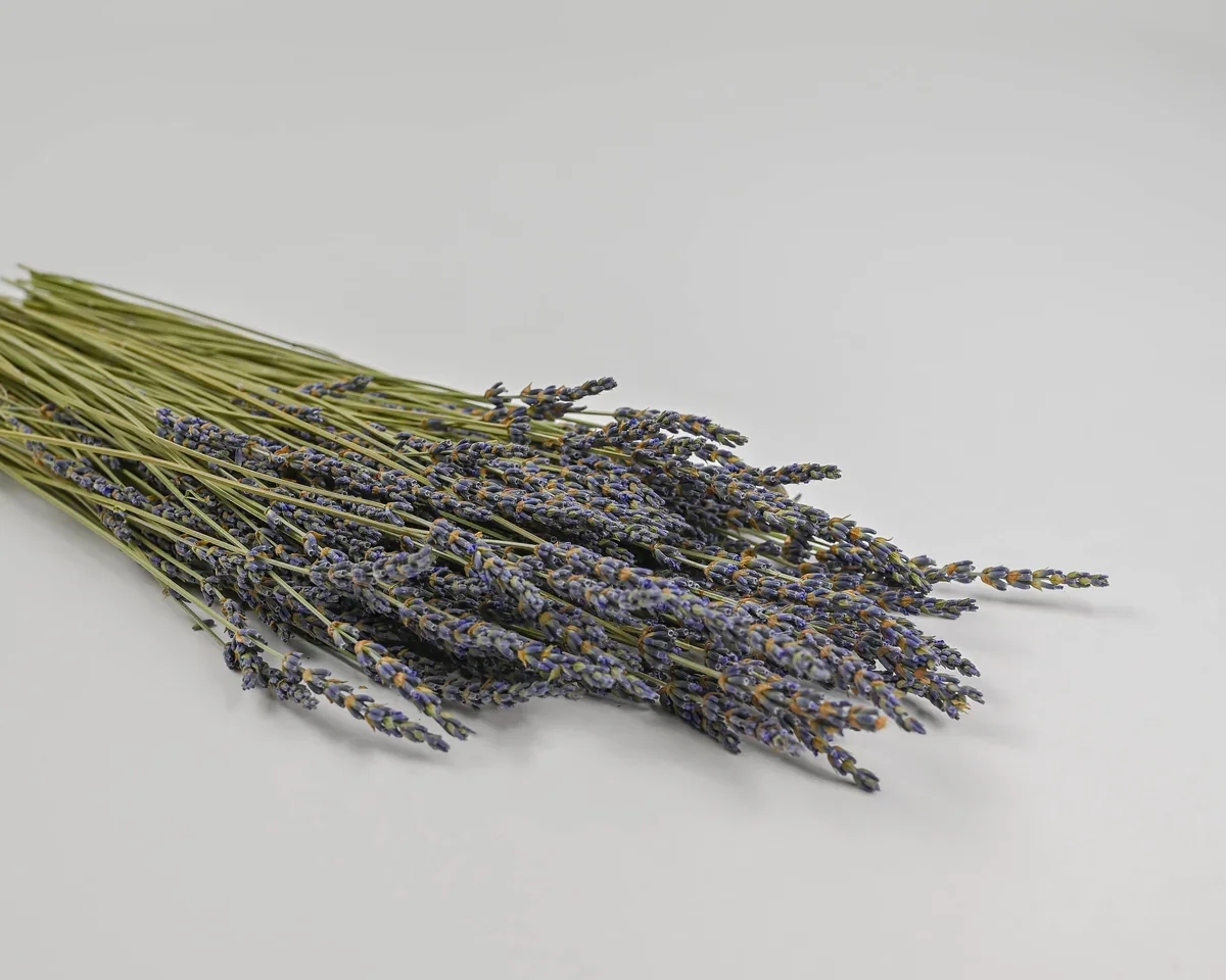 Lavender: Dried Decor's Flower of the Month