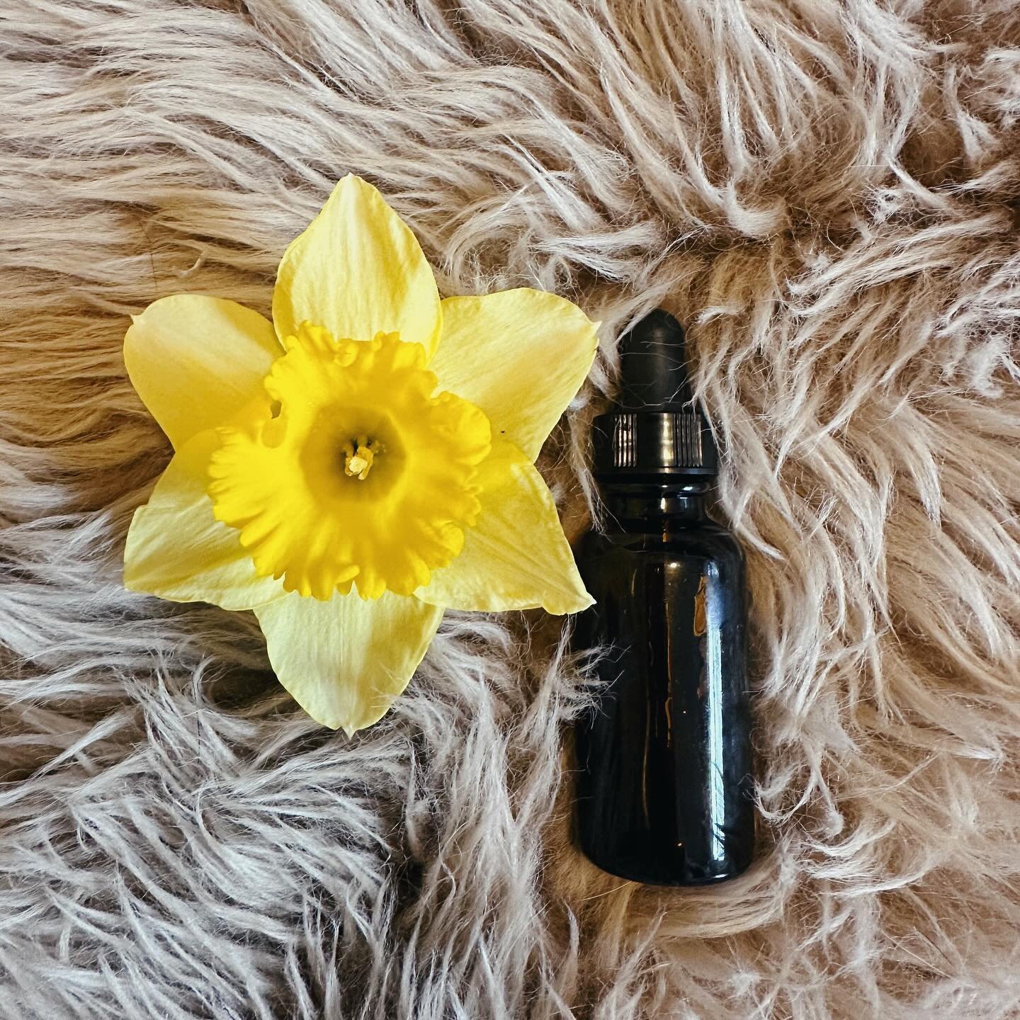 yellow Daffodil flower essence 🌼

✨ joy &bull; optimism &bull; confidence ✨

Daffodil is one of the first to bloom early spring. Her beauty serves as a beacon of hope, joy, and optimism. Daffodil, connected to the solar plexus, assists in cultivatin