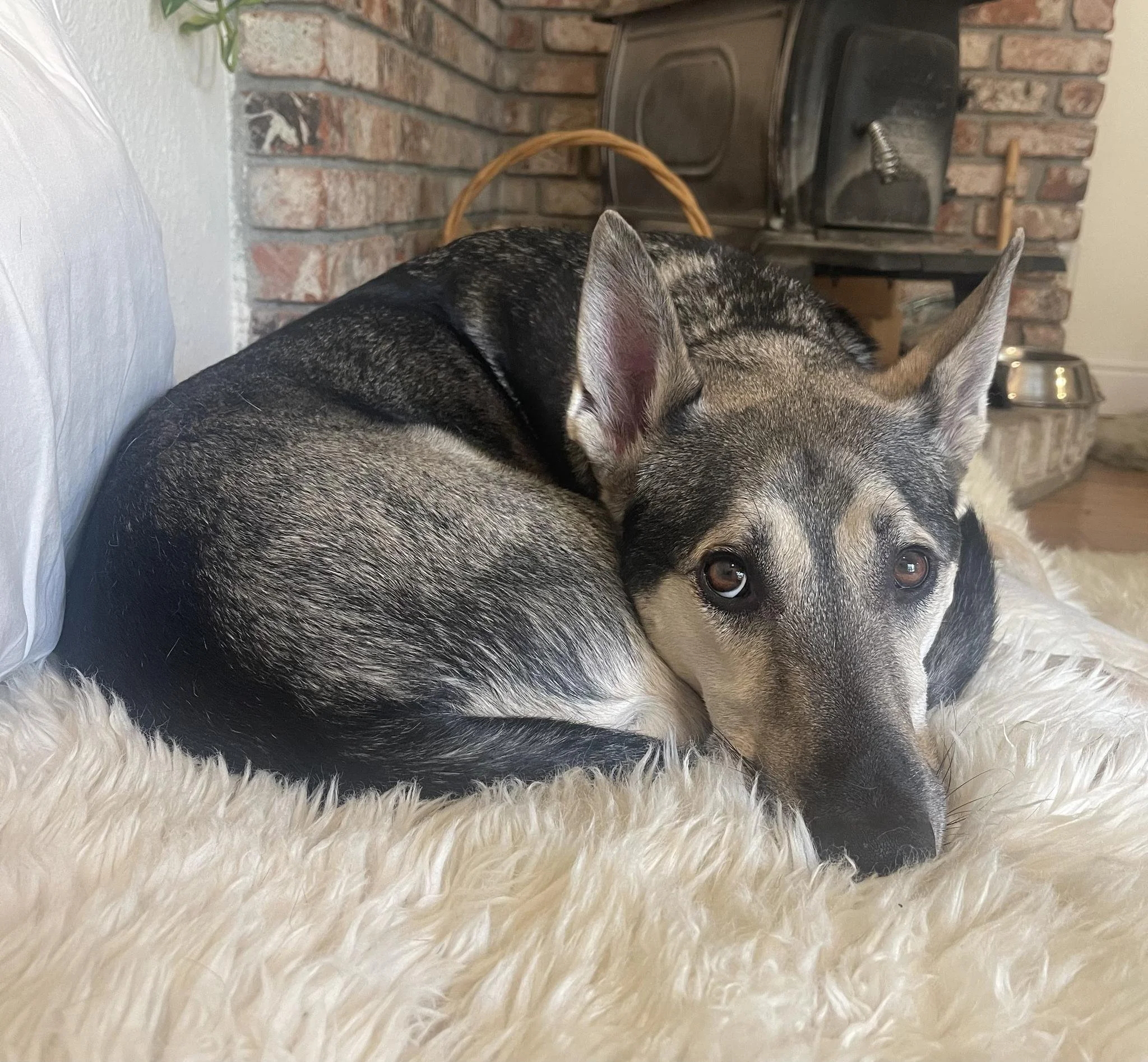 When All Else Fails, Sing