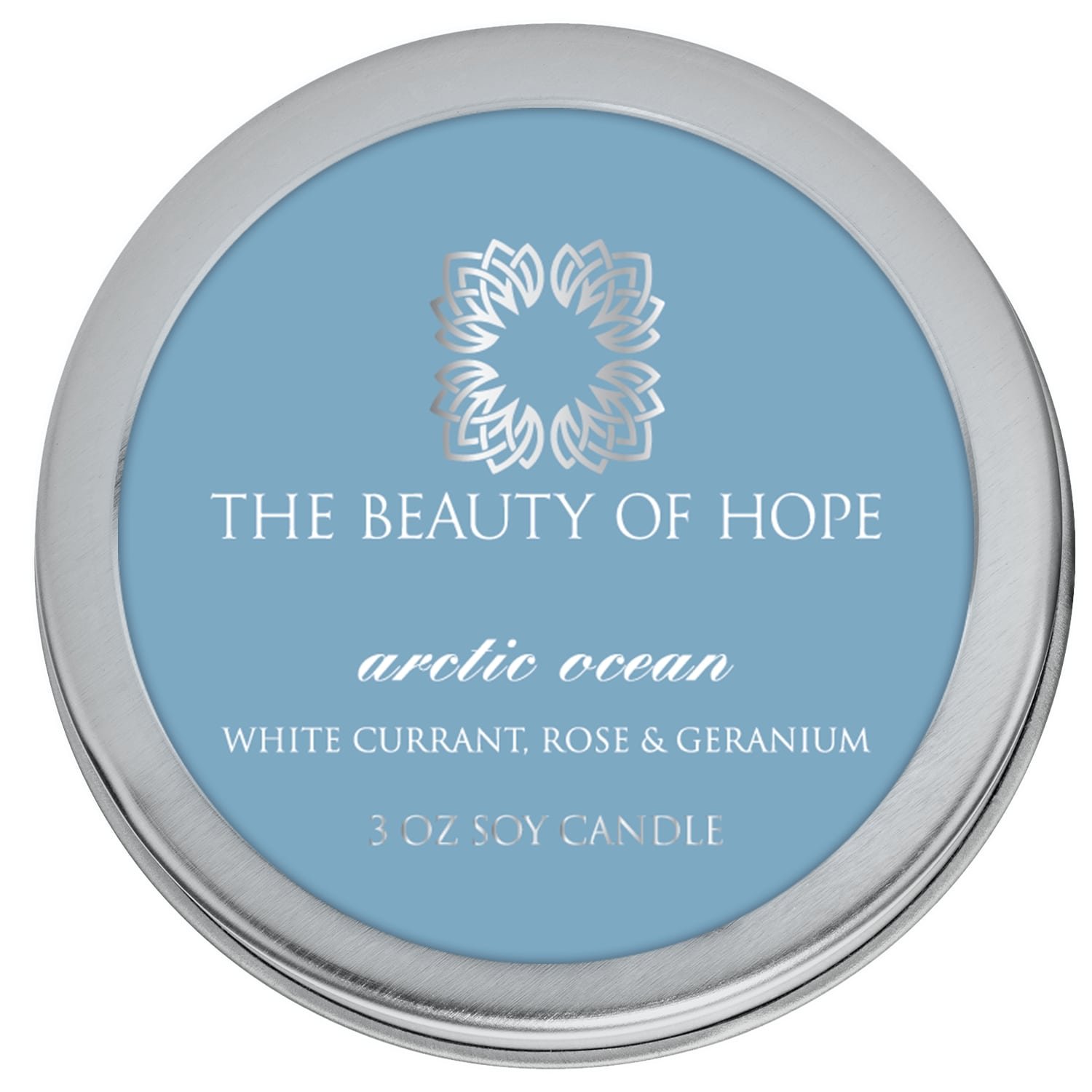Arctic Ocean Tin Front.jpg