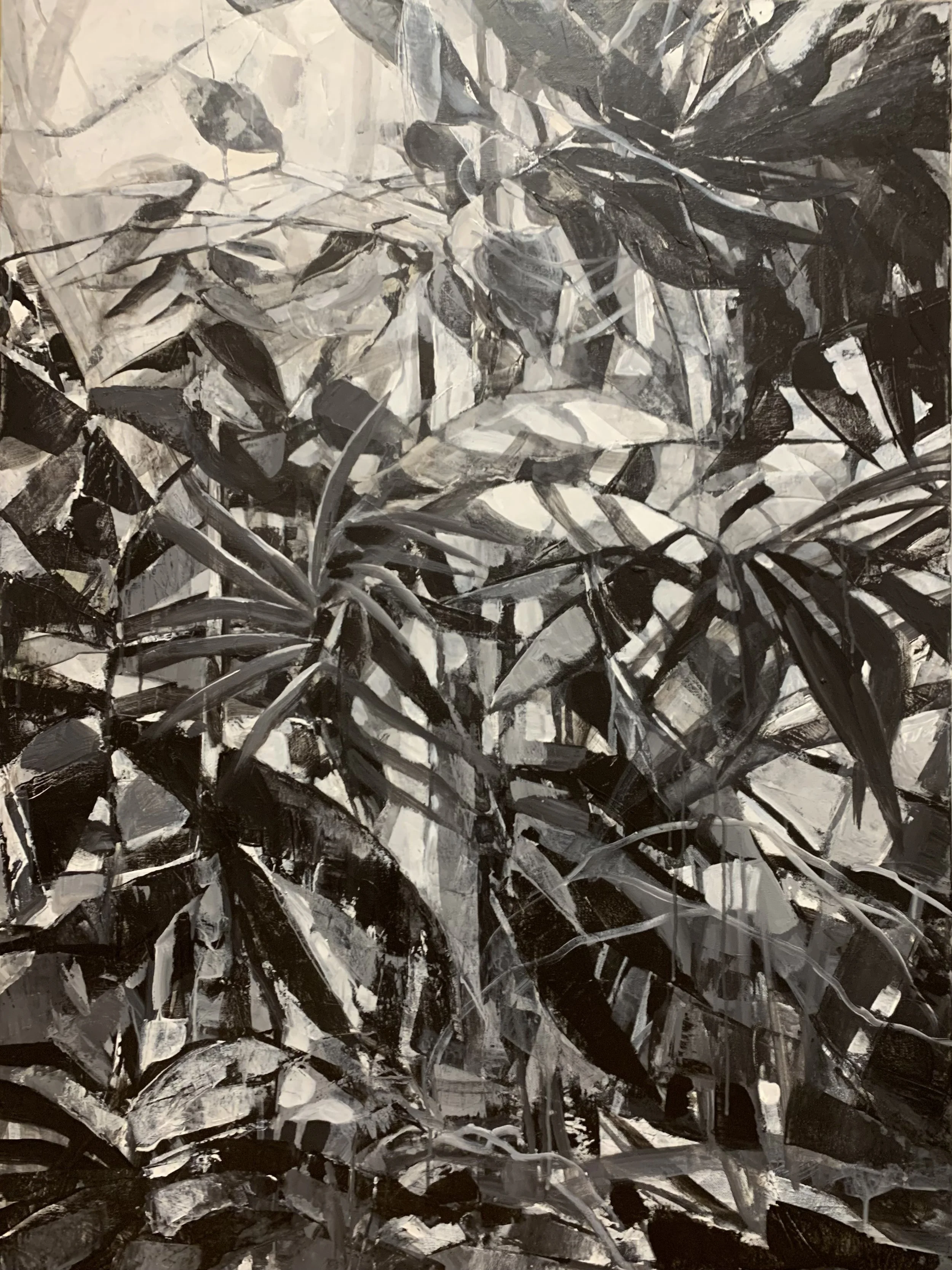 First Light.jpg