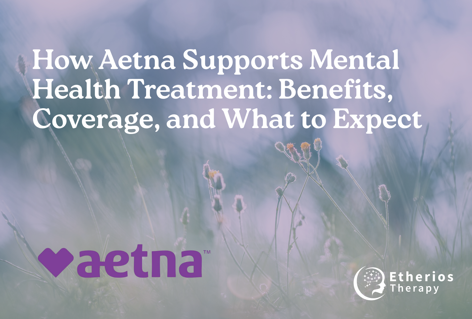 Aetna Mental Health Coverage: Benefits and What to Expect