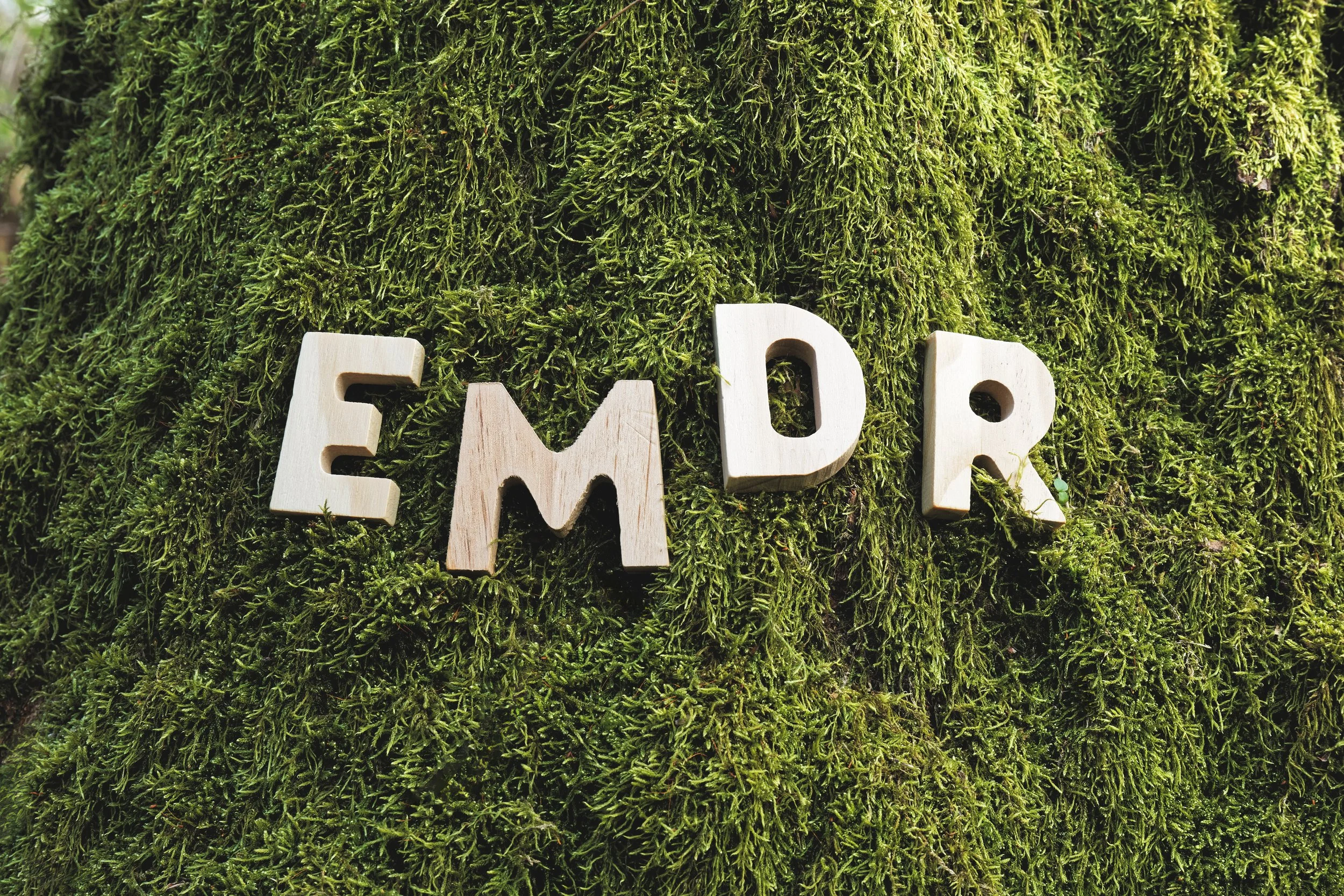 Wooden block letters spelling ‘EMDR’ placed on green moss.