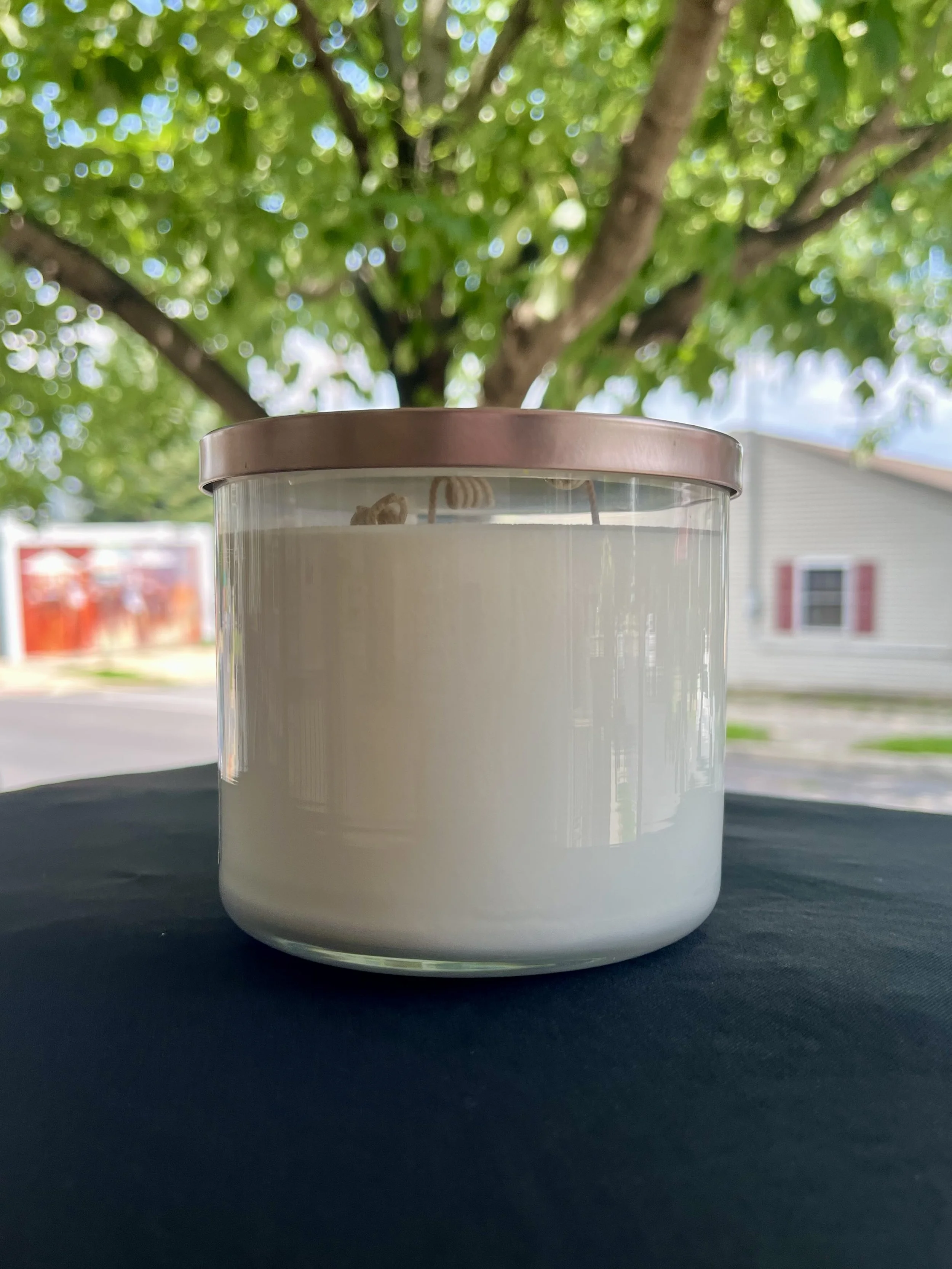 Labubu Soy Candle Workshop