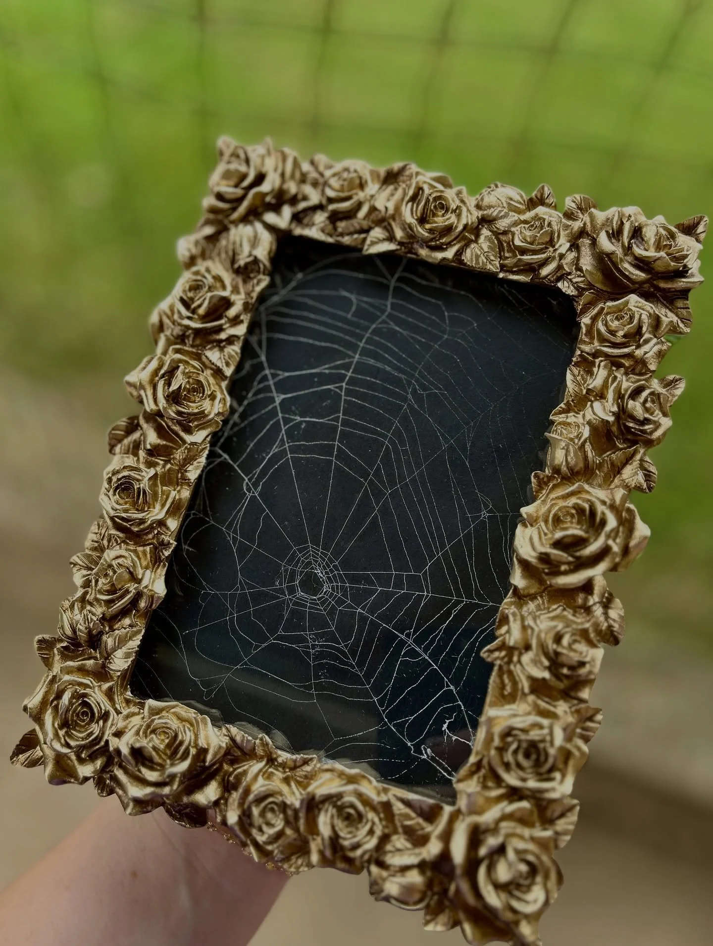It&rsquo;s halloweeeEEK!! A moment for spooky szn before Mariah takes hold.

What&rsquo;s left?
🕷️Spider Web Art: round ($20) 4x6 frames $30
🦇(1) Cider Donut Beetlejuice Bat Bowl $50
&amp; Custom fill bat bowl, pick your scent $50
🎃(2) Jack-o&rsqu