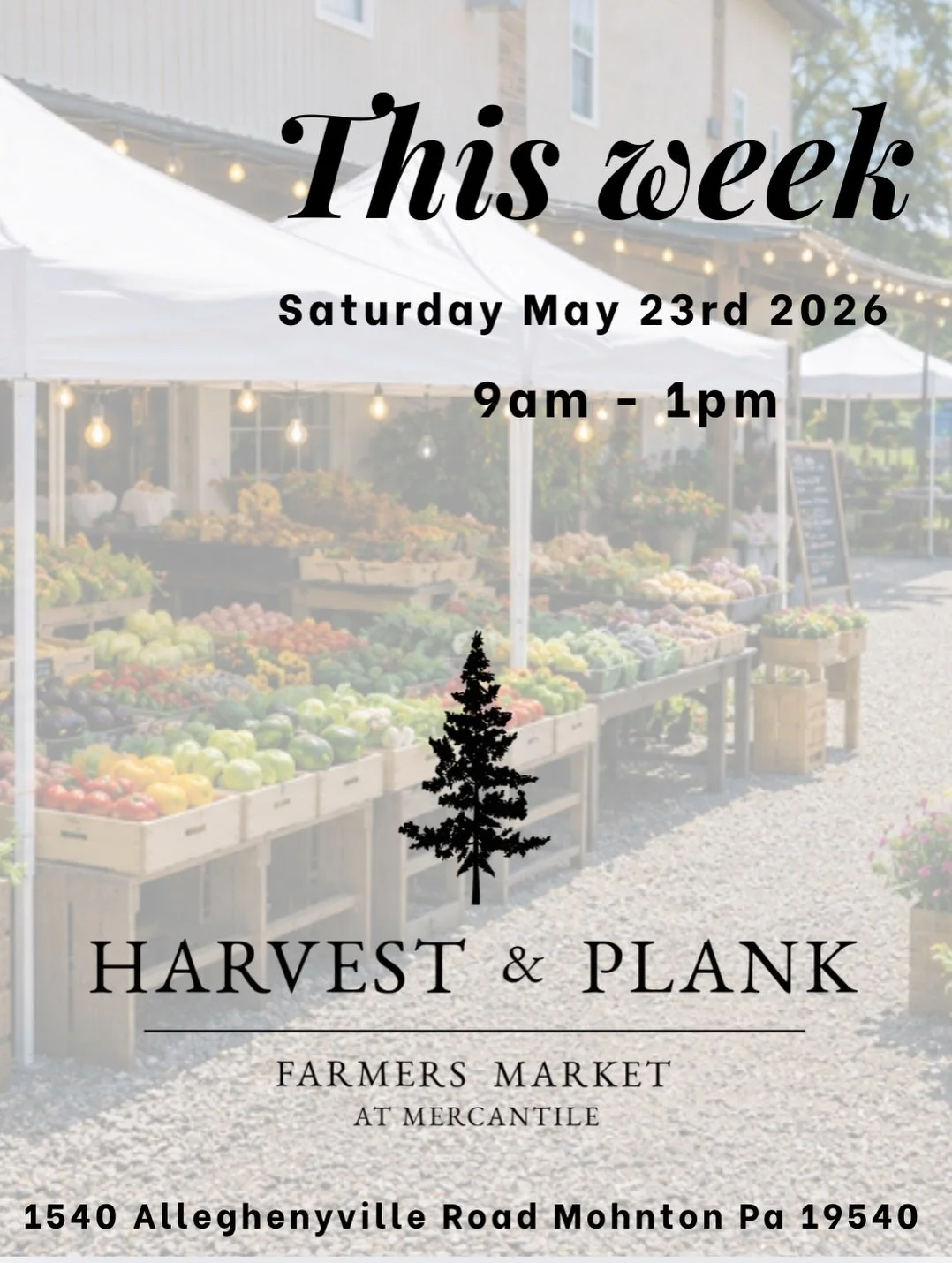 Timberlane Mercantile Harvest &amp; Plant Farmers Market July 11th