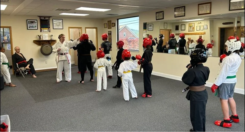 Tana Kids Partnered Line Sparring.jpg