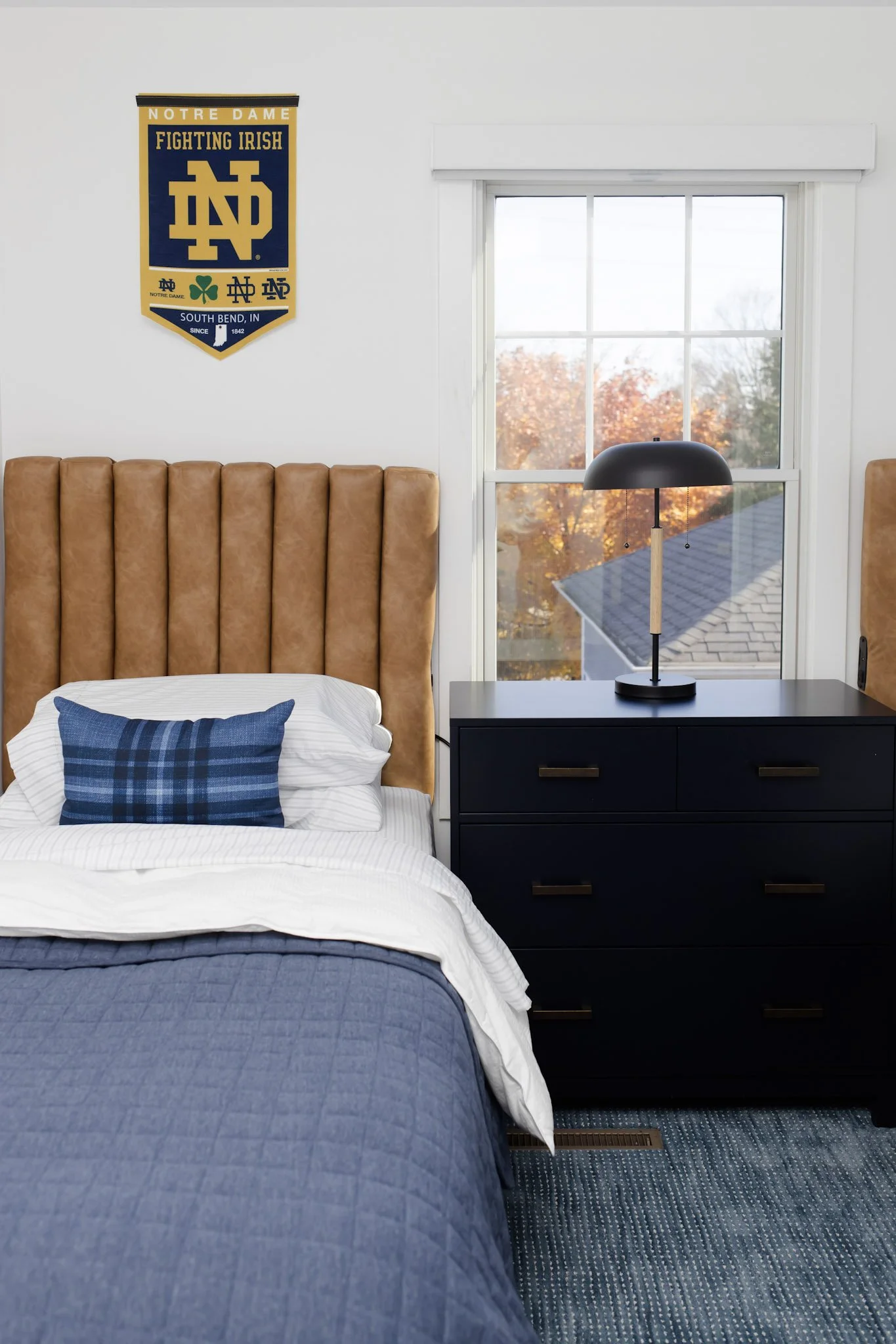 The Daring Dome - A Vibrant Haven