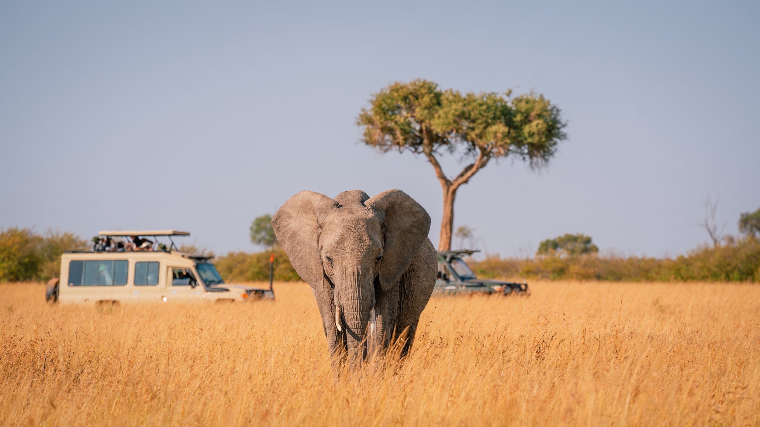 Great Migration-28.jpg