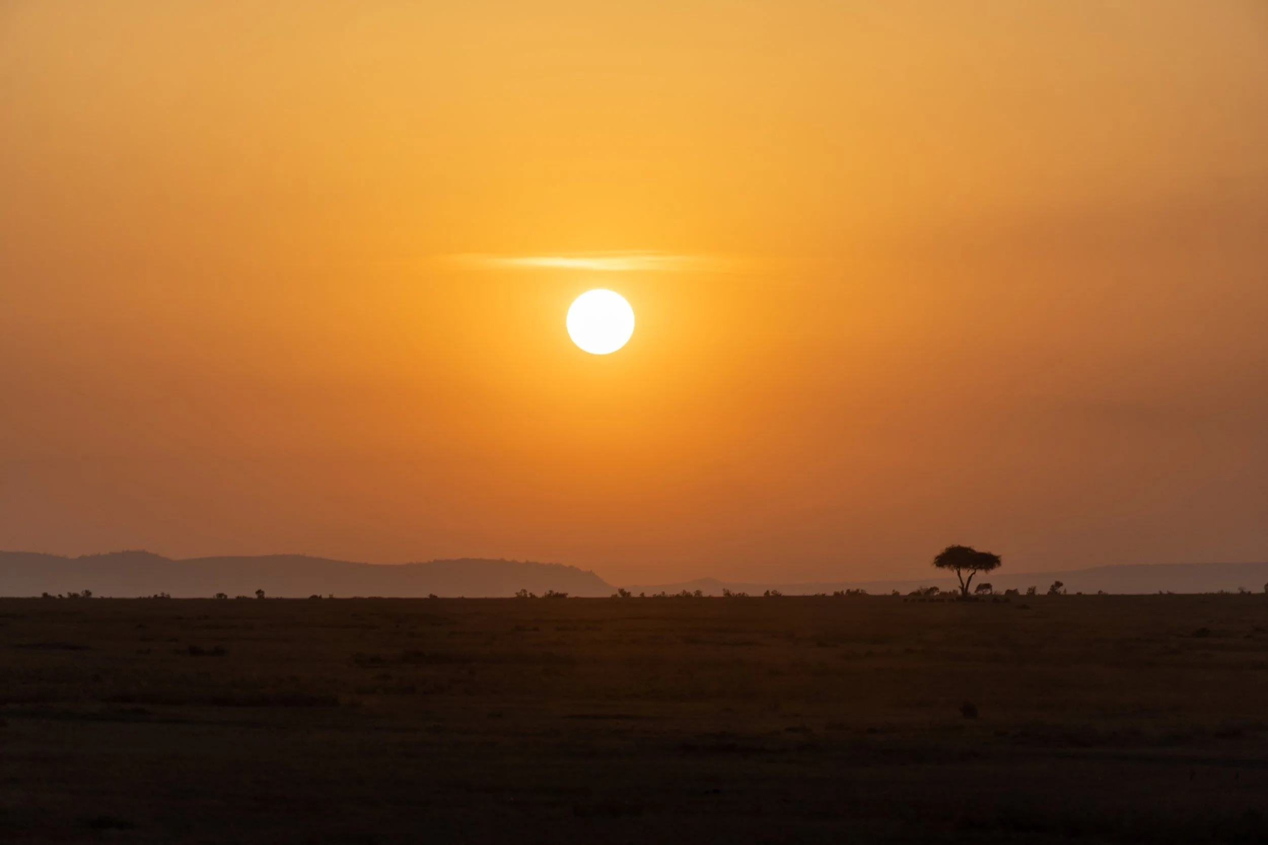 Great Migration-32.jpg