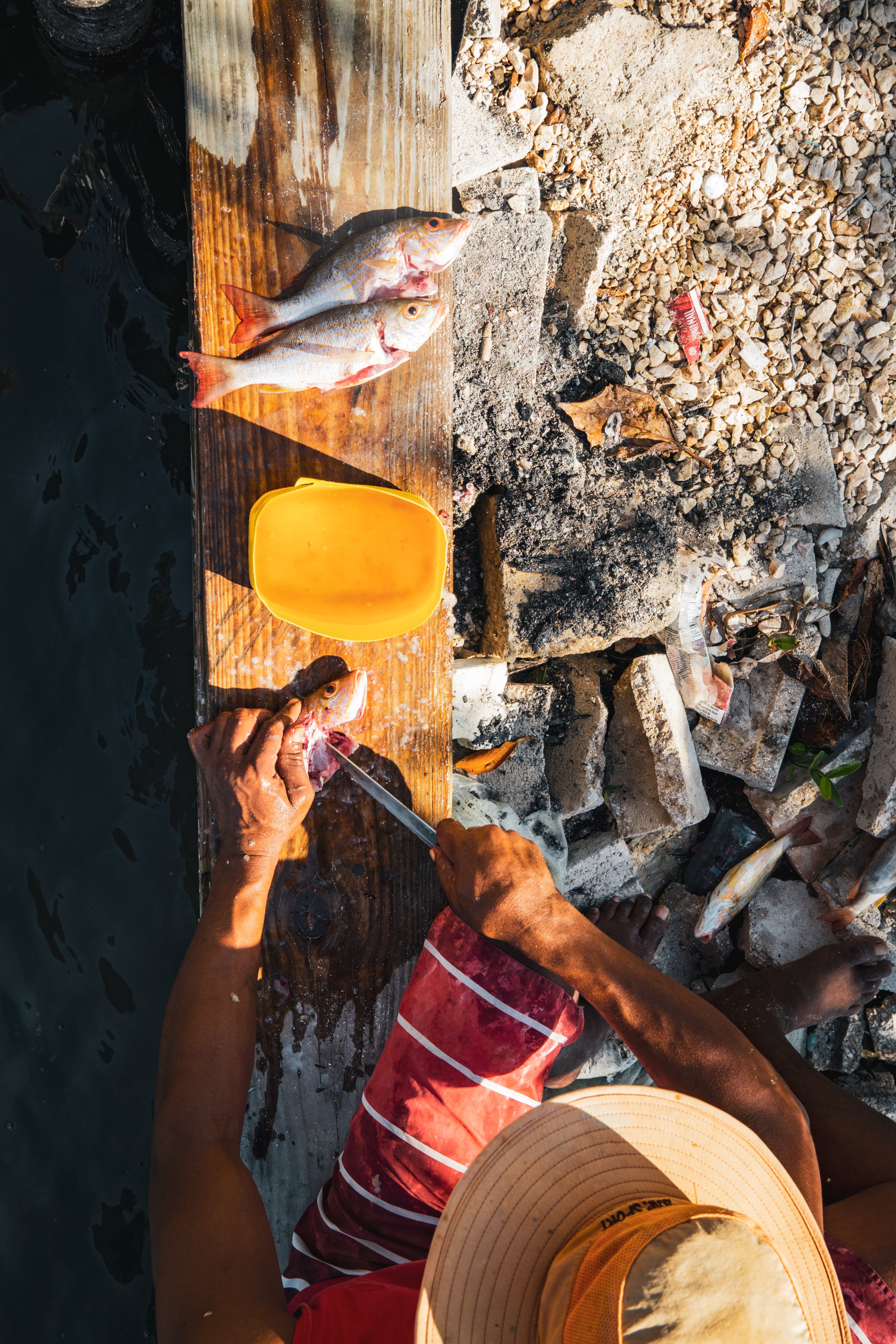 Local fisherman cutting freshly caught snapper on Caye Caulker Island, Belize